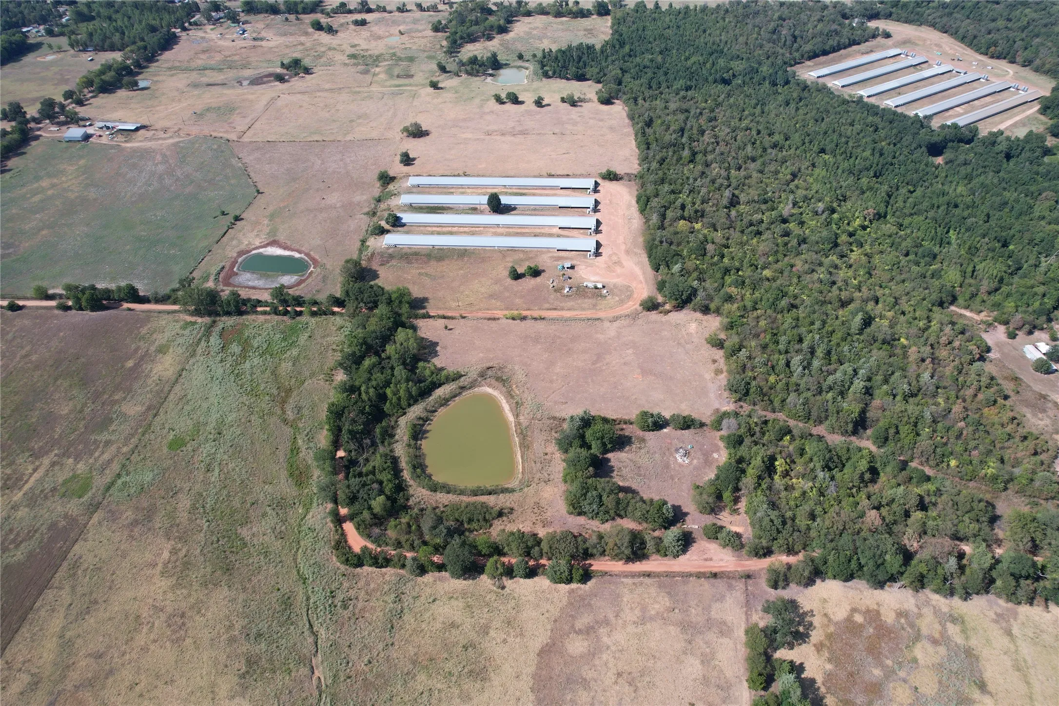 Business For Sale in Wood County , 367 Private Rd 5475, Como, Texas 75431, 0, 0, Garage spaces, 0 Sqft, built in 2004, mls#21373928, Real Estate Agent in Como, Homes For Sale in Wood county, Homes For Sale in Como, Realtor in Como Texas, Real Estate Brokerage Independent Realty Texas, Luminita Cordes Realtor