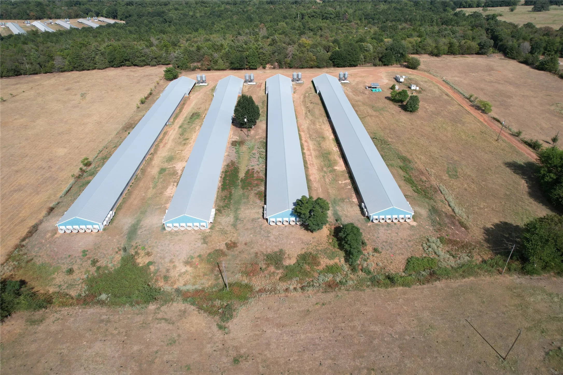 Business For Sale in Wood County , 367 Private Rd 5475, Como, Texas 75431, 0, 0, Garage spaces, 0 Sqft, built in 2004, mls#21373928, Real Estate Agent in Como, Homes For Sale in Wood county, Homes For Sale in Como, Realtor in Como Texas, Real Estate Brokerage Independent Realty Texas, Luminita Cordes Realtor