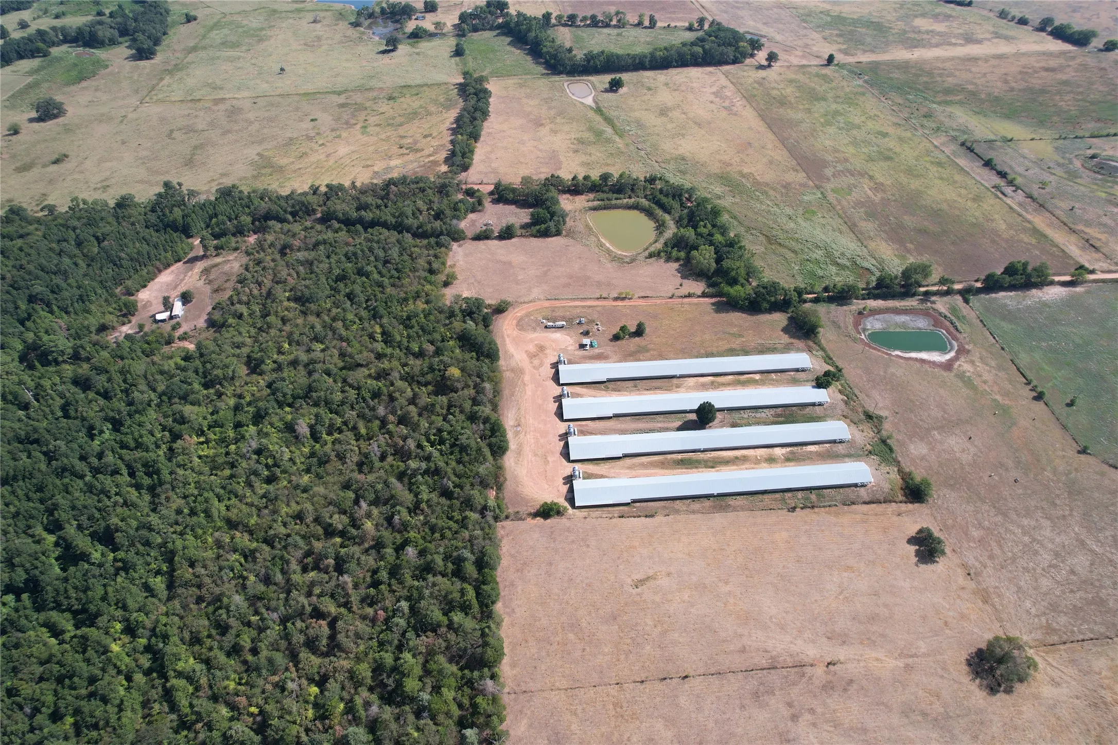 Business For Sale in Wood County , 367 Private Rd 5475, Como, Texas 75431, 0, 0, Garage spaces, 0 Sqft, built in 2004, mls#21373928, Real Estate Agent in Como, Homes For Sale in Wood county, Homes For Sale in Como, Realtor in Como Texas, Real Estate Brokerage Independent Realty Texas, Luminita Cordes Realtor