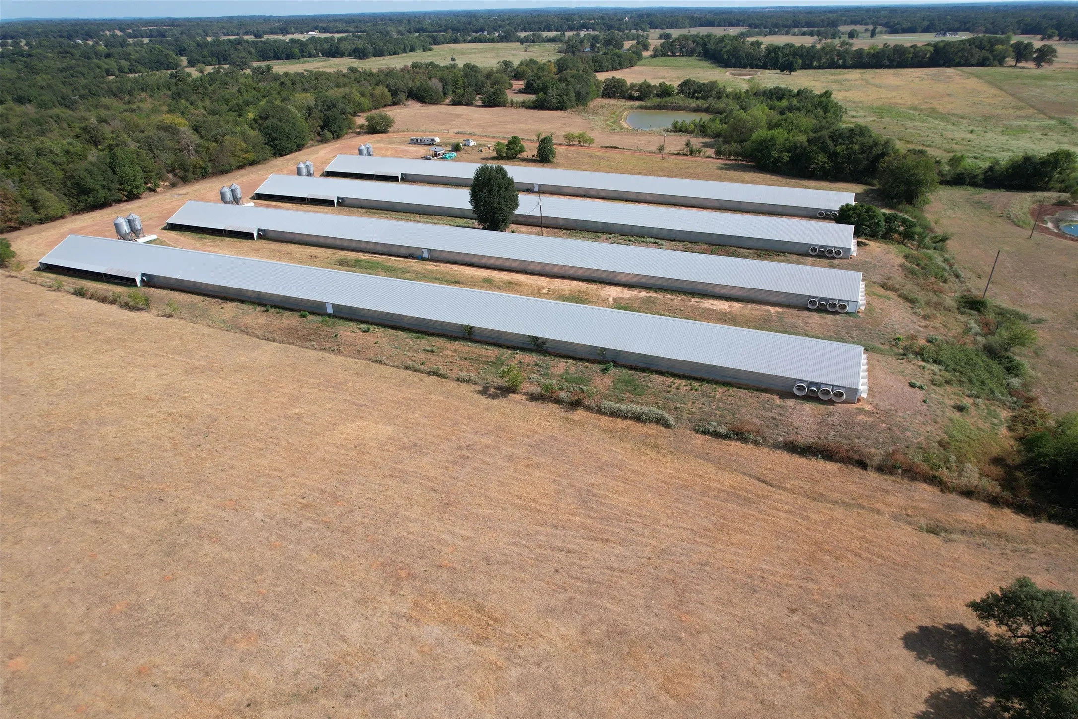 Business For Sale in Wood County , 367 Private Rd 5475, Como, Texas 75431, 0, 0, Garage spaces, 0 Sqft, built in 2004, mls#21373928, Real Estate Agent in Como, Homes For Sale in Wood county, Homes For Sale in Como, Realtor in Como Texas, Real Estate Brokerage Independent Realty Texas, Luminita Cordes Realtor