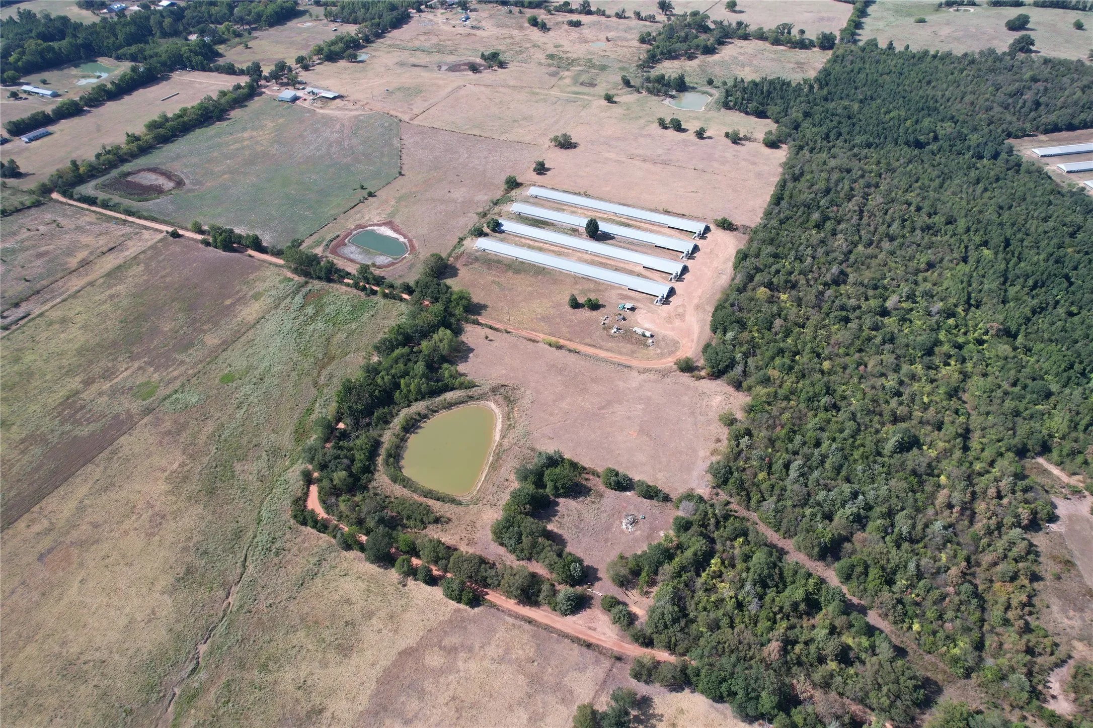 Business For Sale in Wood County , 367 Private Rd 5475, Como, Texas 75431, 0, 0, Garage spaces, 0 Sqft, built in 2004, mls#21373928, Real Estate Agent in Como, Homes For Sale in Wood county, Homes For Sale in Como, Realtor in Como Texas, Real Estate Brokerage Independent Realty Texas, Luminita Cordes Realtor