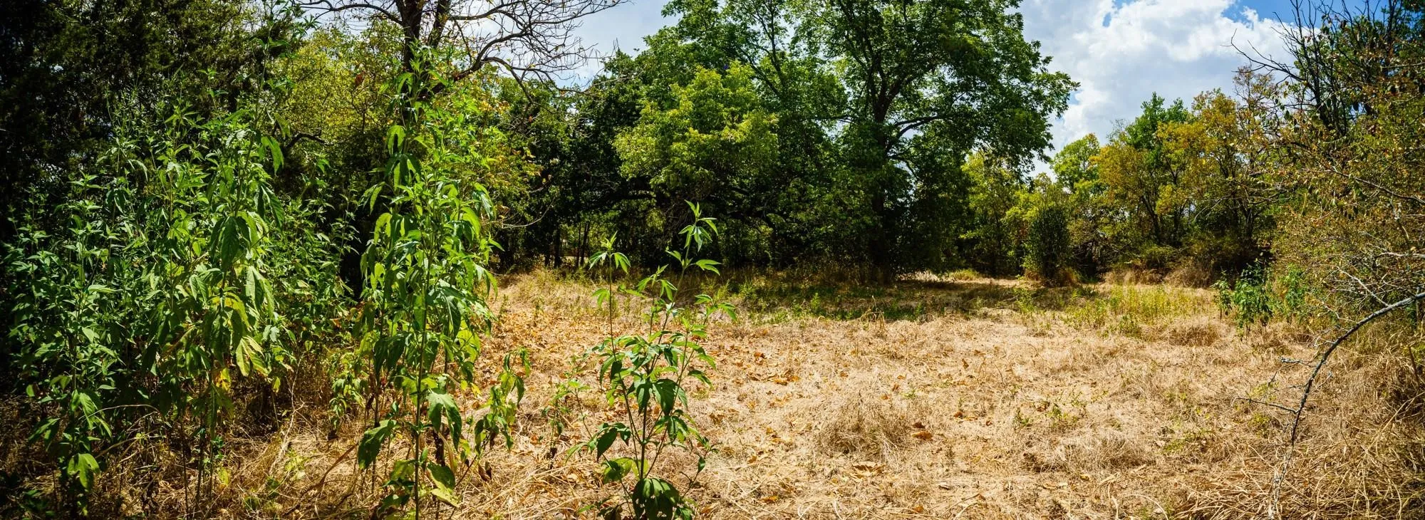 Unimproved Land For Sale in Kaufman County , 500 College Mound Road, Terrell, Texas 75160, 0, 0, Garage spaces, 0 Sqft, built in 0, mls#21373666, Real Estate Agent in Terrell, Homes For Sale in Kaufman county, Homes For Sale in Terrell, Realtor in Terrell Texas, Real Estate Brokerage Independent Realty Texas, Luminita Cordes Realtor