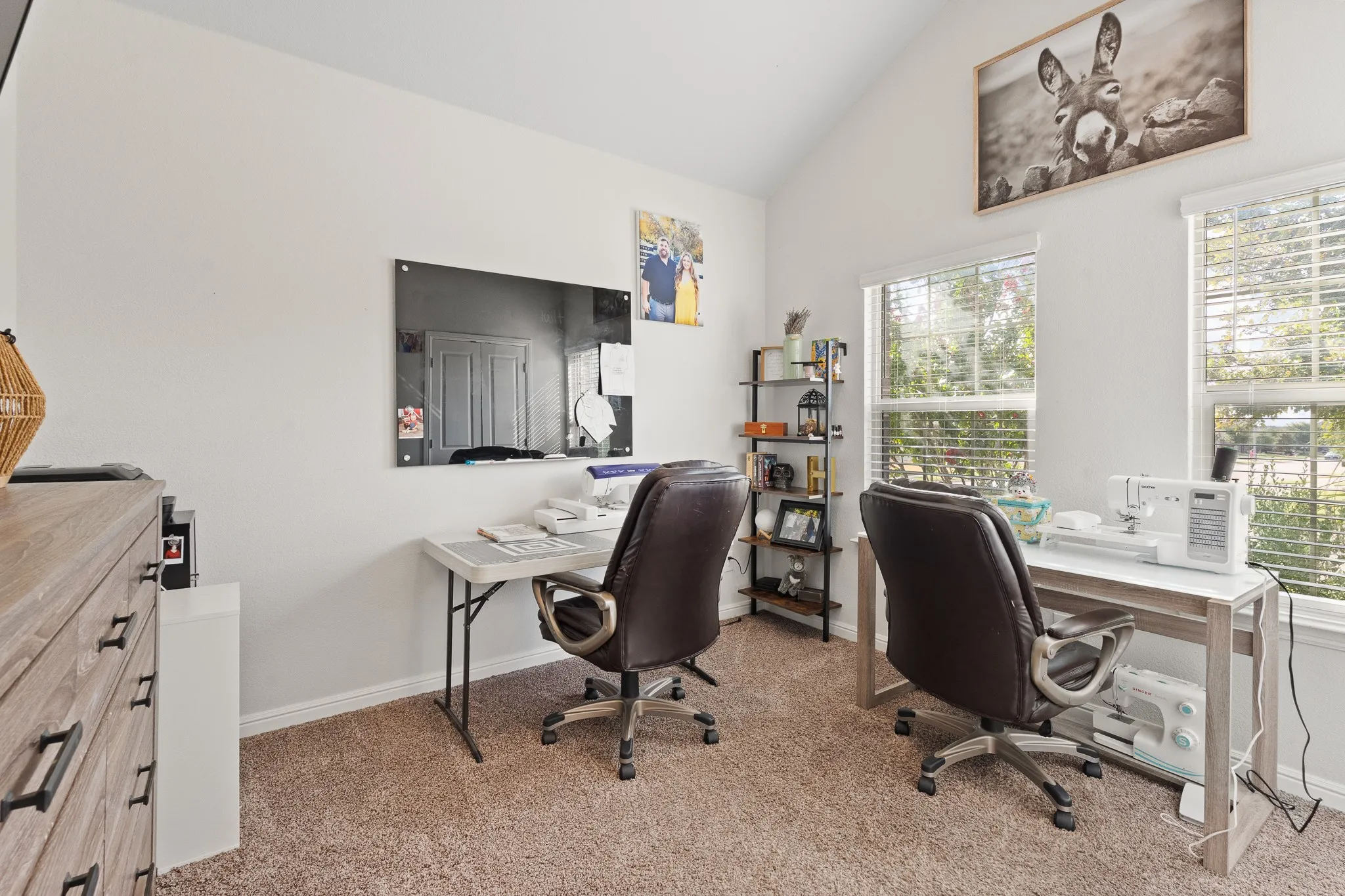Vaulted ceiling, dual windows with blinds, light-colored walls, and neutral carpeting