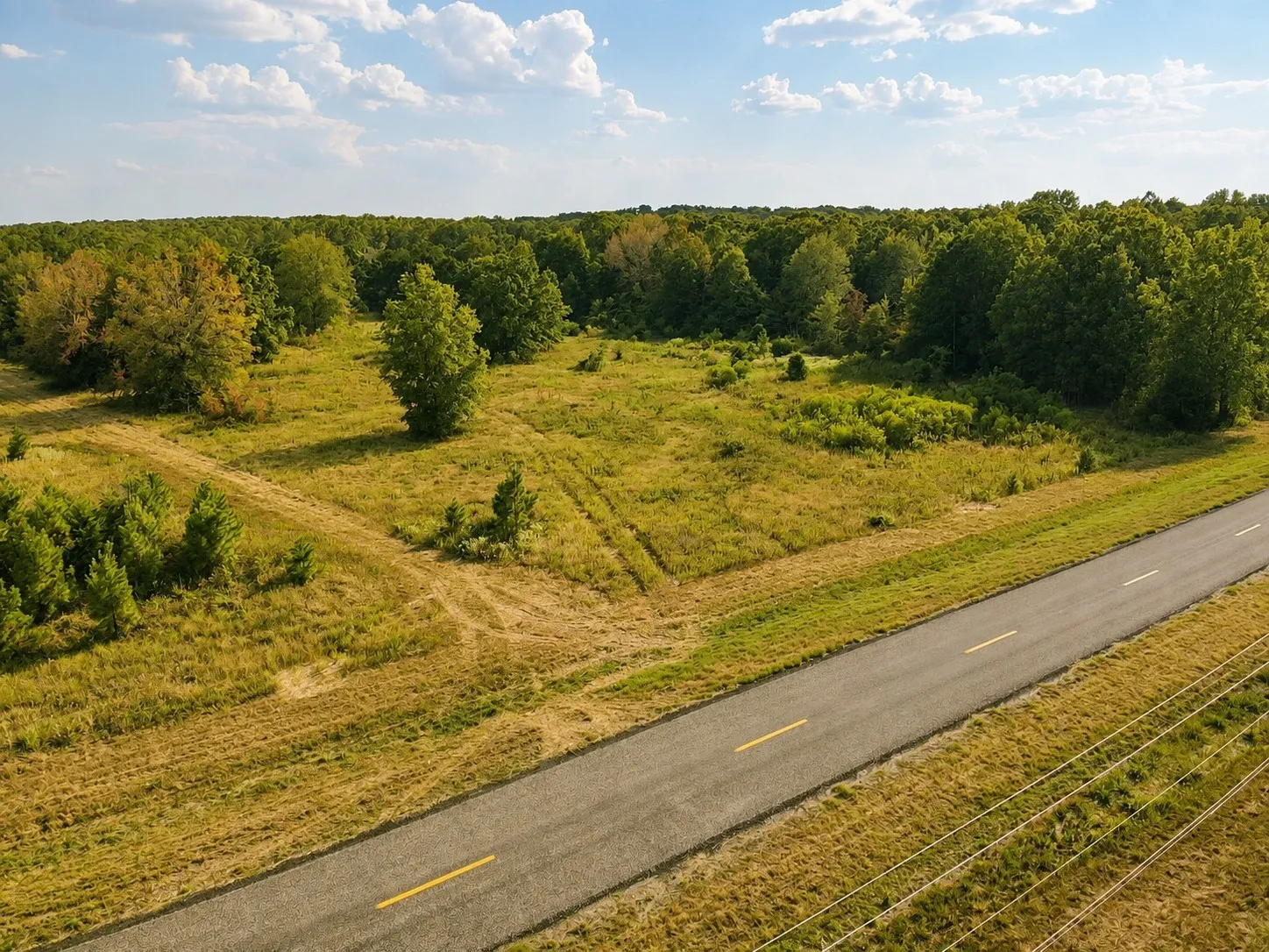 Unimproved Land For Sale in Red River (TX) County , TBD FM 410, Detroit, Texas 75436, 0, 0, Garage spaces, 0 Sqft, built in 0, mls#21374768, Real Estate Agent in Detroit, Homes For Sale in Red River (TX) county, Homes For Sale in Detroit, Realtor in Detroit Texas, Real Estate Brokerage Independent Realty Texas, Luminita Cordes Realtor