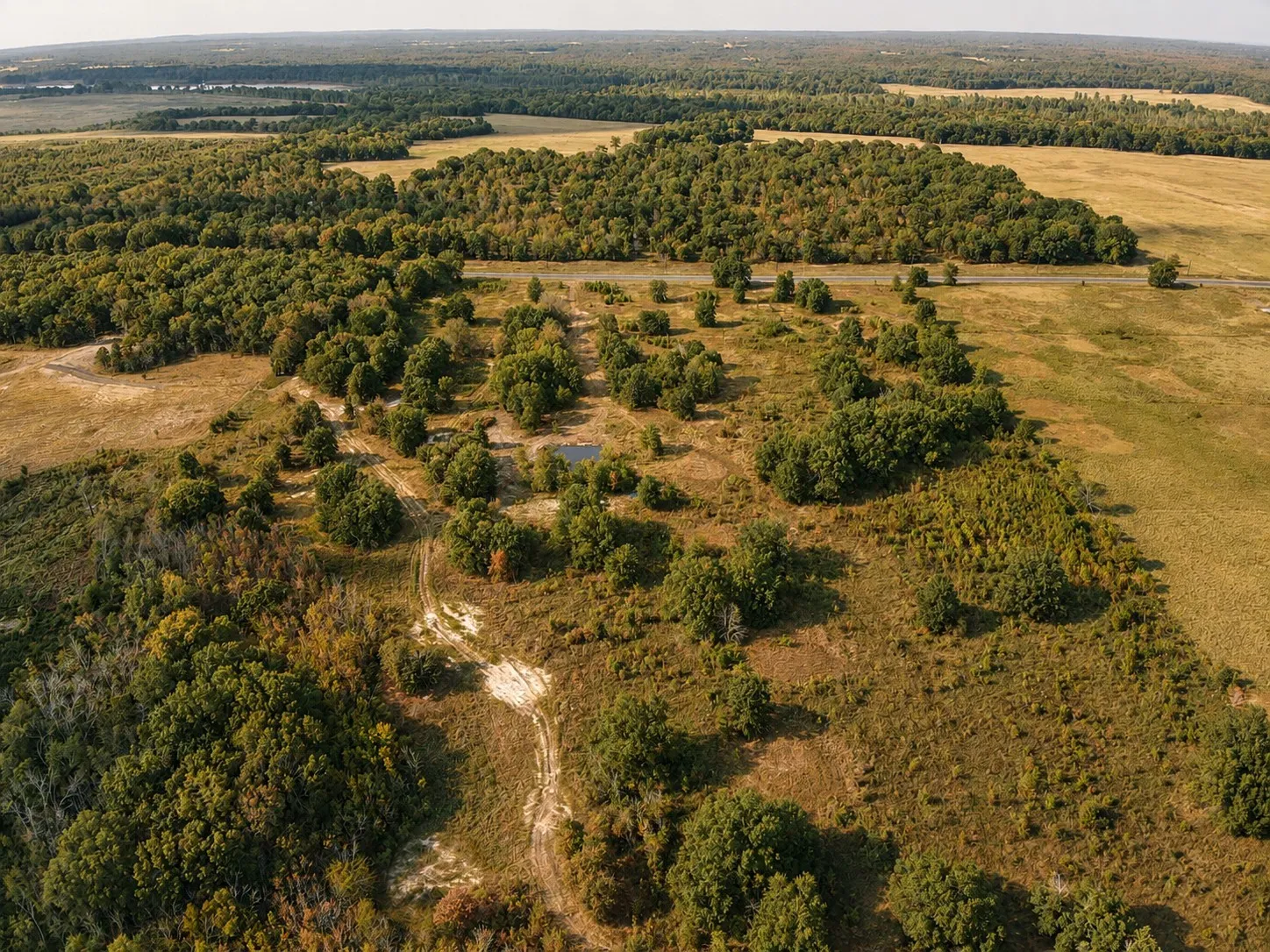 Unimproved Land For Sale in Red River (TX) County , TBD FM 410, Detroit, Texas 75436, 0, 0, Garage spaces, 0 Sqft, built in 0, mls#21374768, Real Estate Agent in Detroit, Homes For Sale in Red River (TX) county, Homes For Sale in Detroit, Realtor in Detroit Texas, Real Estate Brokerage Independent Realty Texas, Luminita Cordes Realtor