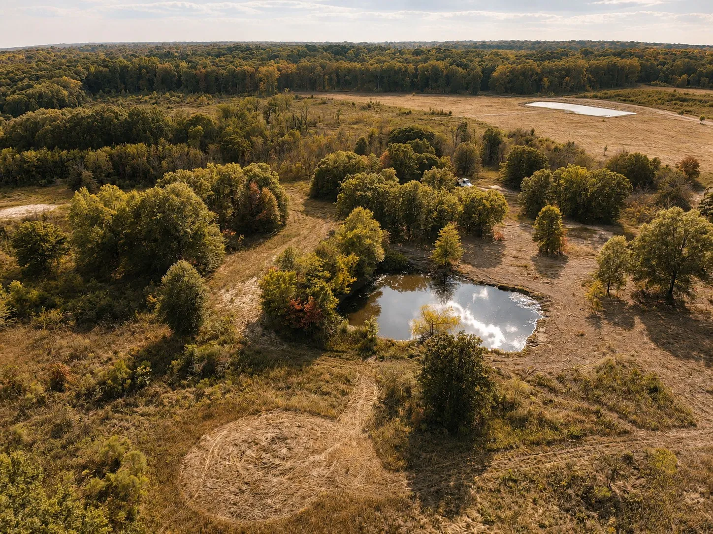 Unimproved Land For Sale in Red River (TX) County , TBD FM 410, Detroit, Texas 75436, 0, 0, Garage spaces, 0 Sqft, built in 0, mls#21374768, Real Estate Agent in Detroit, Homes For Sale in Red River (TX) county, Homes For Sale in Detroit, Realtor in Detroit Texas, Real Estate Brokerage Independent Realty Texas, Luminita Cordes Realtor