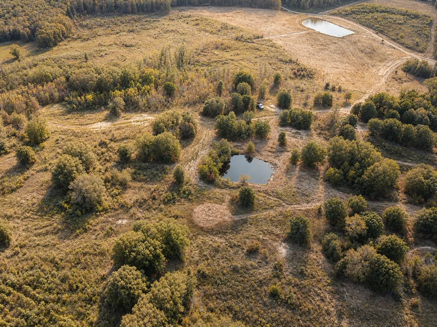Unimproved Land For Sale in Red River (TX) County , TBD FM 410, Detroit, Texas 75436, 0, 0, Garage spaces, 0 Sqft, built in 0, mls#21374768, Real Estate Agent in Detroit, Homes For Sale in Red River (TX) county, Homes For Sale in Detroit, Realtor in Detroit Texas, Real Estate Brokerage Independent Realty Texas, Luminita Cordes Realtor