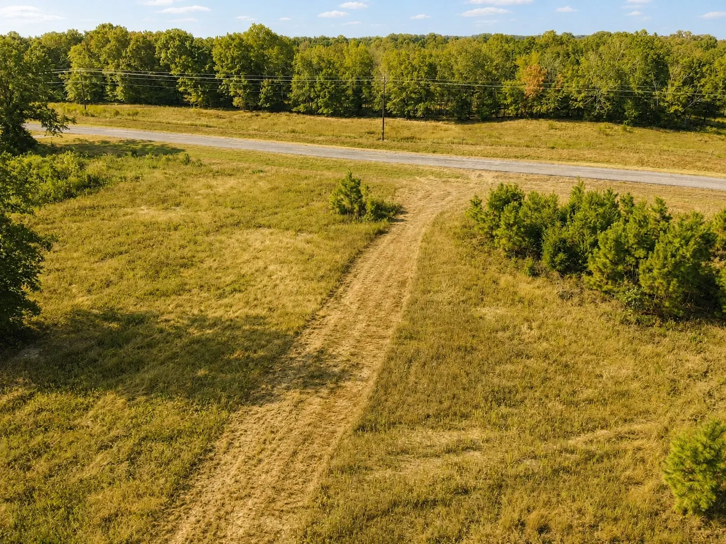 Unimproved Land For Sale in Red River (TX) County , TBD FM 410, Detroit, Texas 75436, 0, 0, Garage spaces, 0 Sqft, built in 0, mls#21374768, Real Estate Agent in Detroit, Homes For Sale in Red River (TX) county, Homes For Sale in Detroit, Realtor in Detroit Texas, Real Estate Brokerage Independent Realty Texas, Luminita Cordes Realtor