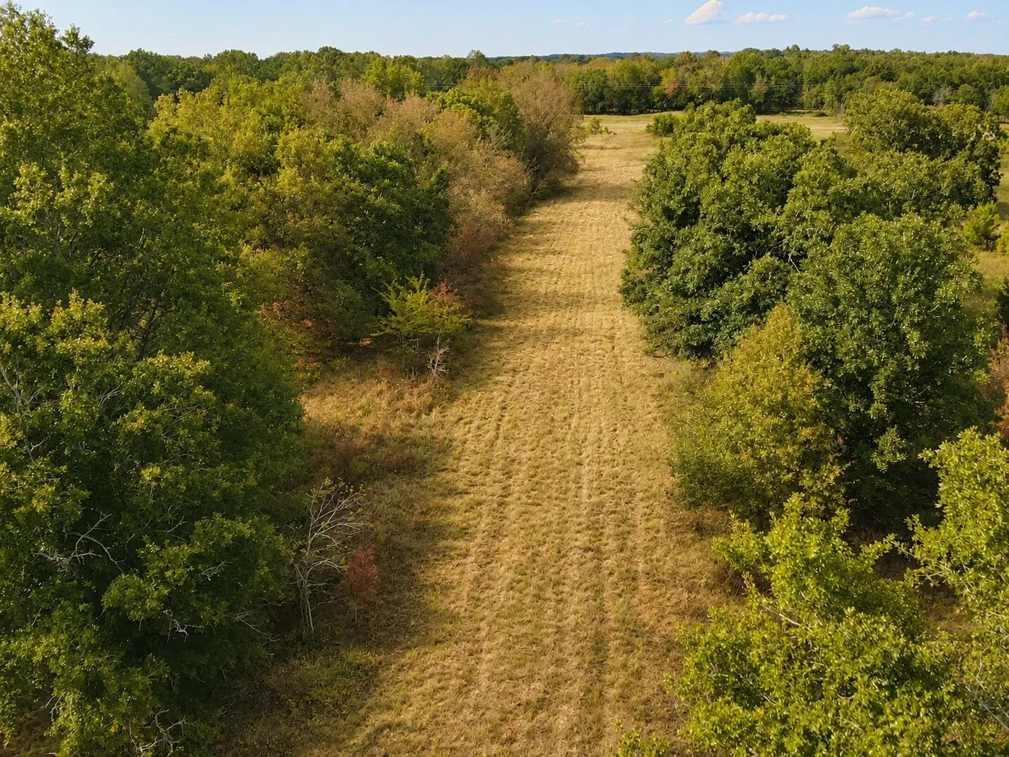 Unimproved Land For Sale in Red River (TX) County , TBD FM 410, Detroit, Texas 75436, 0, 0, Garage spaces, 0 Sqft, built in 0, mls#21374768, Real Estate Agent in Detroit, Homes For Sale in Red River (TX) county, Homes For Sale in Detroit, Realtor in Detroit Texas, Real Estate Brokerage Independent Realty Texas, Luminita Cordes Realtor