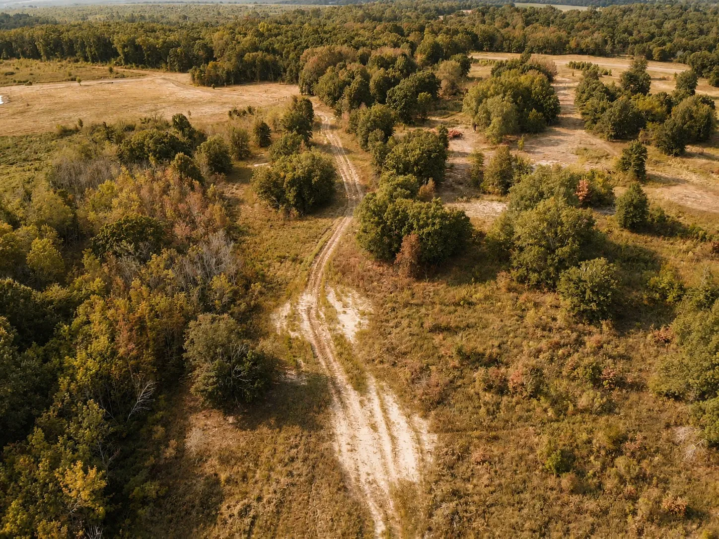 Unimproved Land For Sale in Red River (TX) County , TBD FM 410, Detroit, Texas 75436, 0, 0, Garage spaces, 0 Sqft, built in 0, mls#21374768, Real Estate Agent in Detroit, Homes For Sale in Red River (TX) county, Homes For Sale in Detroit, Realtor in Detroit Texas, Real Estate Brokerage Independent Realty Texas, Luminita Cordes Realtor