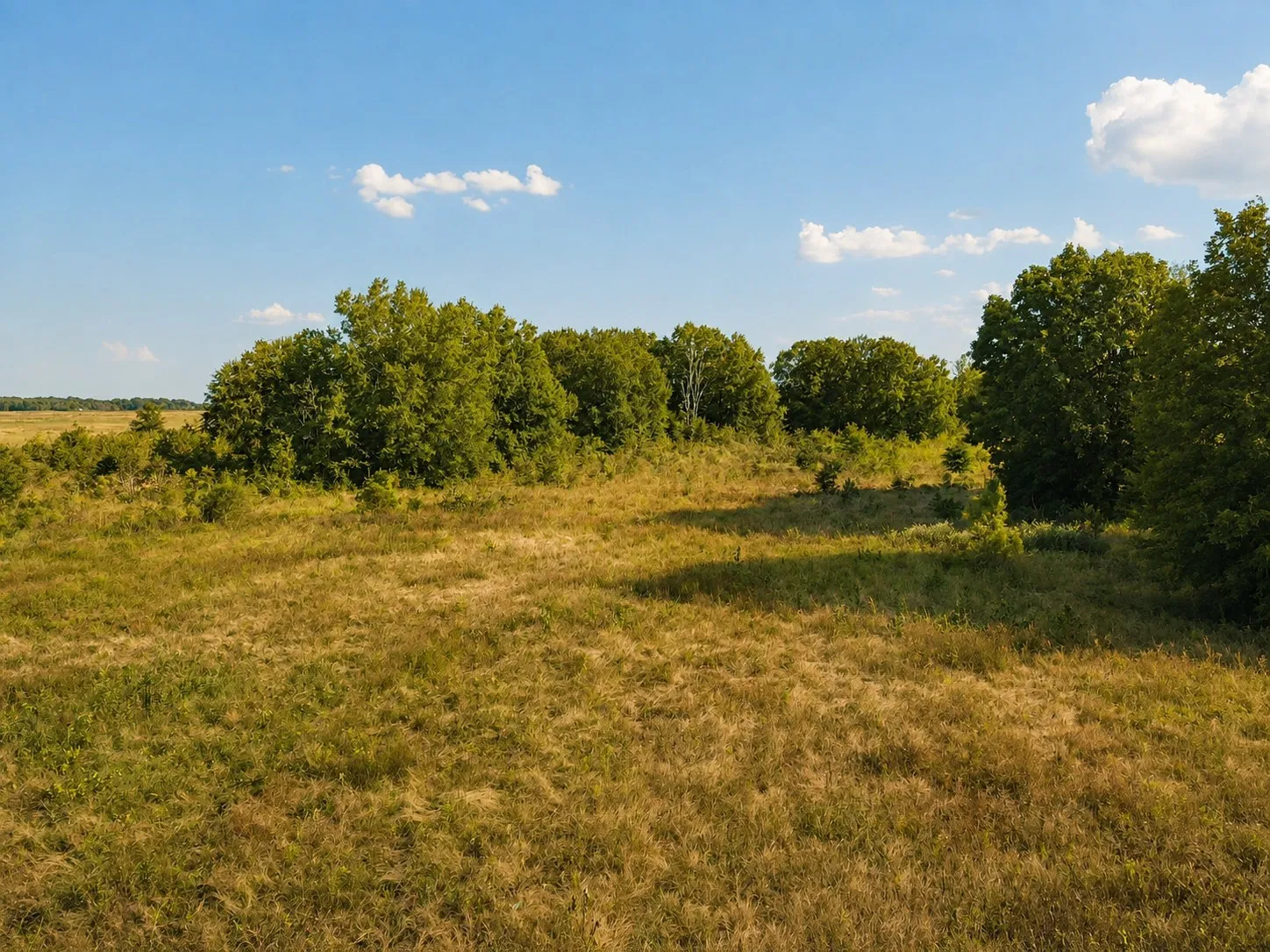 Unimproved Land For Sale in Red River (TX) County , TBD FM 410, Detroit, Texas 75436, 0, 0, Garage spaces, 0 Sqft, built in 0, mls#21374768, Real Estate Agent in Detroit, Homes For Sale in Red River (TX) county, Homes For Sale in Detroit, Realtor in Detroit Texas, Real Estate Brokerage Independent Realty Texas, Luminita Cordes Realtor