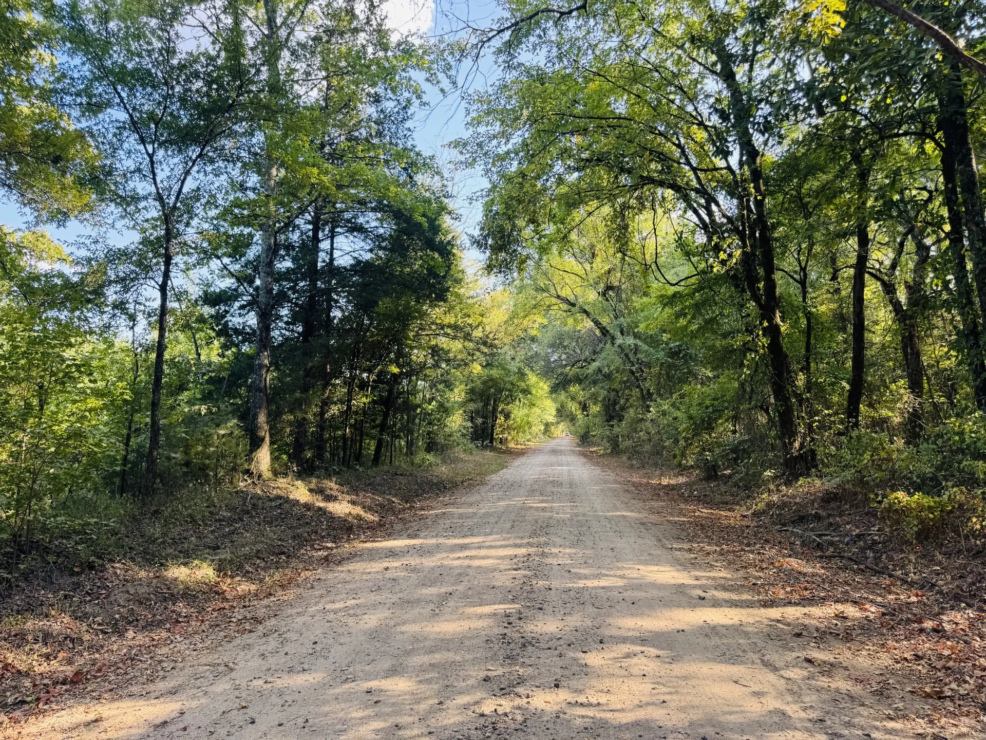Unimproved Land For Sale in Red River (TX) County , 000 FM 410, Detroit, Texas 75436, 0, 0, Garage spaces, 0 Sqft, built in 0, mls#21374854, Real Estate Agent in Detroit, Homes For Sale in Red River (TX) county, Homes For Sale in Detroit, Realtor in Detroit Texas, Real Estate Brokerage Independent Realty Texas, Luminita Cordes Realtor