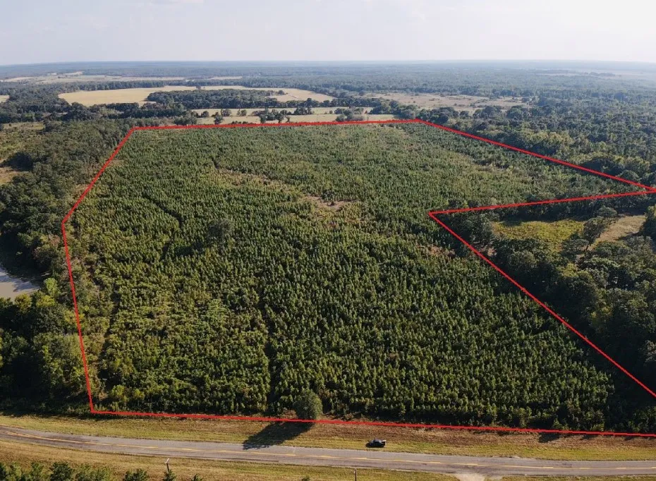 Unimproved Land For Sale in Red River (TX) County , 000 FM 410, Detroit, Texas 75436, 0, 0, Garage spaces, 0 Sqft, built in 0, mls#21374854, Real Estate Agent in Detroit, Homes For Sale in Red River (TX) county, Homes For Sale in Detroit, Realtor in Detroit Texas, Real Estate Brokerage Independent Realty Texas, Luminita Cordes Realtor