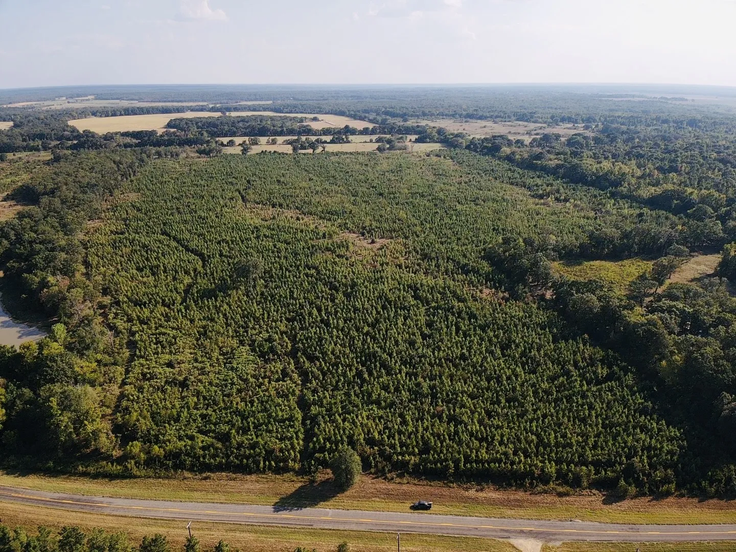 Unimproved Land For Sale in Red River (TX) County , 000 FM 410, Detroit, Texas 75436, 0, 0, Garage spaces, 0 Sqft, built in 0, mls#21374854, Real Estate Agent in Detroit, Homes For Sale in Red River (TX) county, Homes For Sale in Detroit, Realtor in Detroit Texas, Real Estate Brokerage Independent Realty Texas, Luminita Cordes Realtor