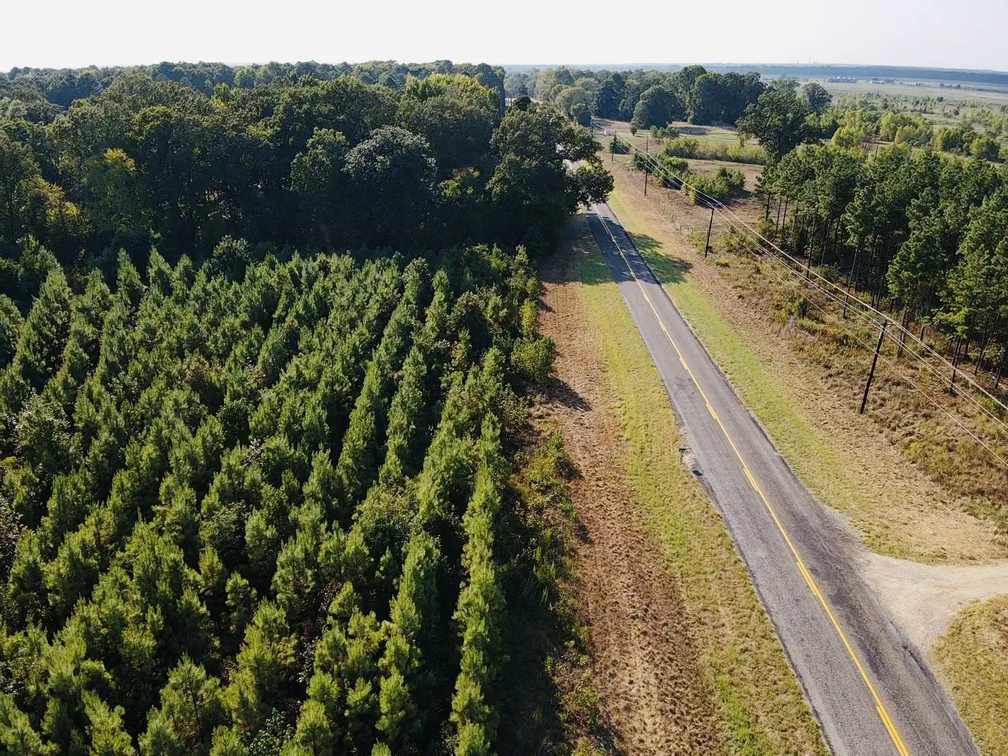 Unimproved Land For Sale in Red River (TX) County , 000 FM 410, Detroit, Texas 75436, 0, 0, Garage spaces, 0 Sqft, built in 0, mls#21374854, Real Estate Agent in Detroit, Homes For Sale in Red River (TX) county, Homes For Sale in Detroit, Realtor in Detroit Texas, Real Estate Brokerage Independent Realty Texas, Luminita Cordes Realtor