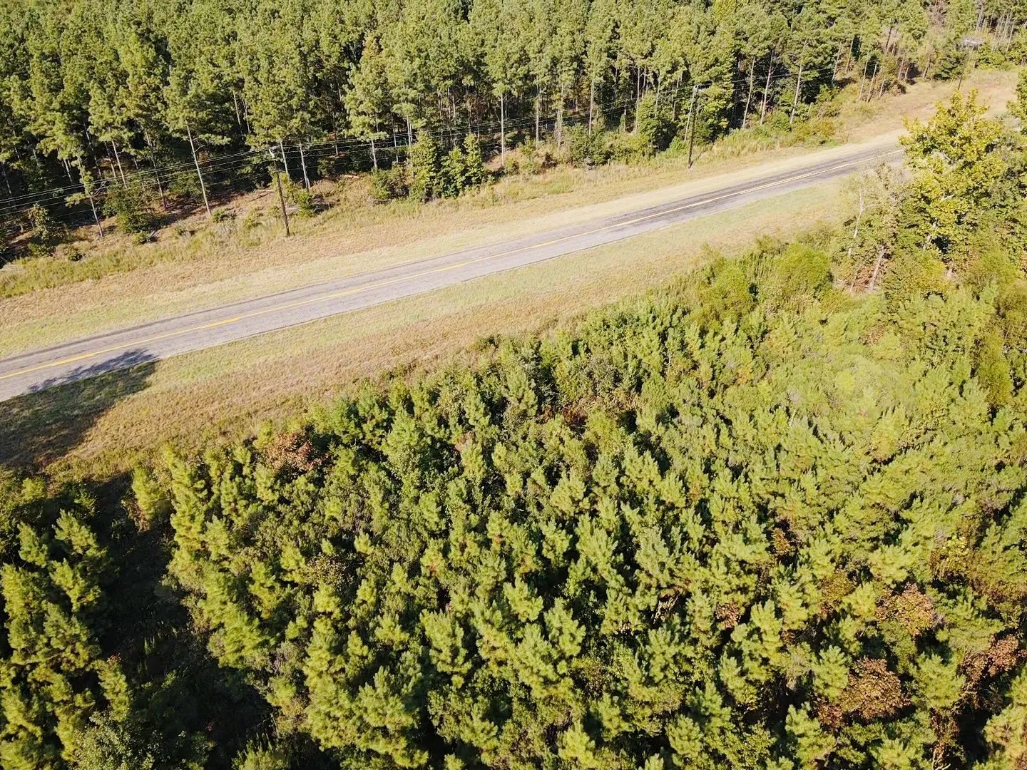 Unimproved Land For Sale in Red River (TX) County , 000 FM 410, Detroit, Texas 75436, 0, 0, Garage spaces, 0 Sqft, built in 0, mls#21374854, Real Estate Agent in Detroit, Homes For Sale in Red River (TX) county, Homes For Sale in Detroit, Realtor in Detroit Texas, Real Estate Brokerage Independent Realty Texas, Luminita Cordes Realtor