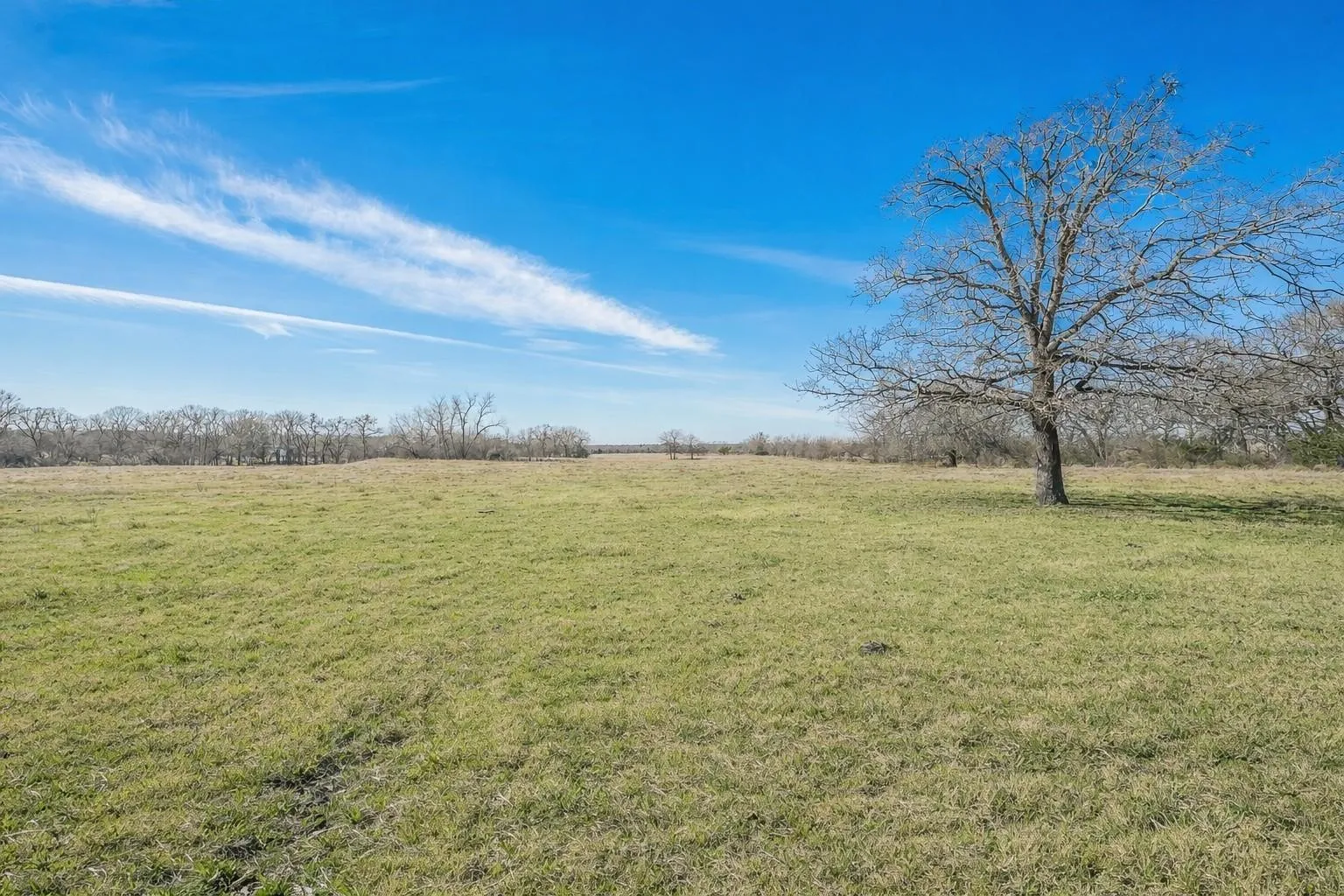 Farm For Sale in Mc Lennan County , 1325 N Katy Road, Elm Mott, Texas 76640, 3 Bedroom, 2 Bathroom, 2 Garage spaces, 1,826 Sqft, built in 1988, mls#21374855, Real Estate Agent in Elm Mott, Homes For Sale in Mc Lennan county, Homes For Sale in Elm Mott, Realtor in Elm Mott Texas, Real Estate Brokerage Independent Realty Texas, Luminita Cordes Realtor