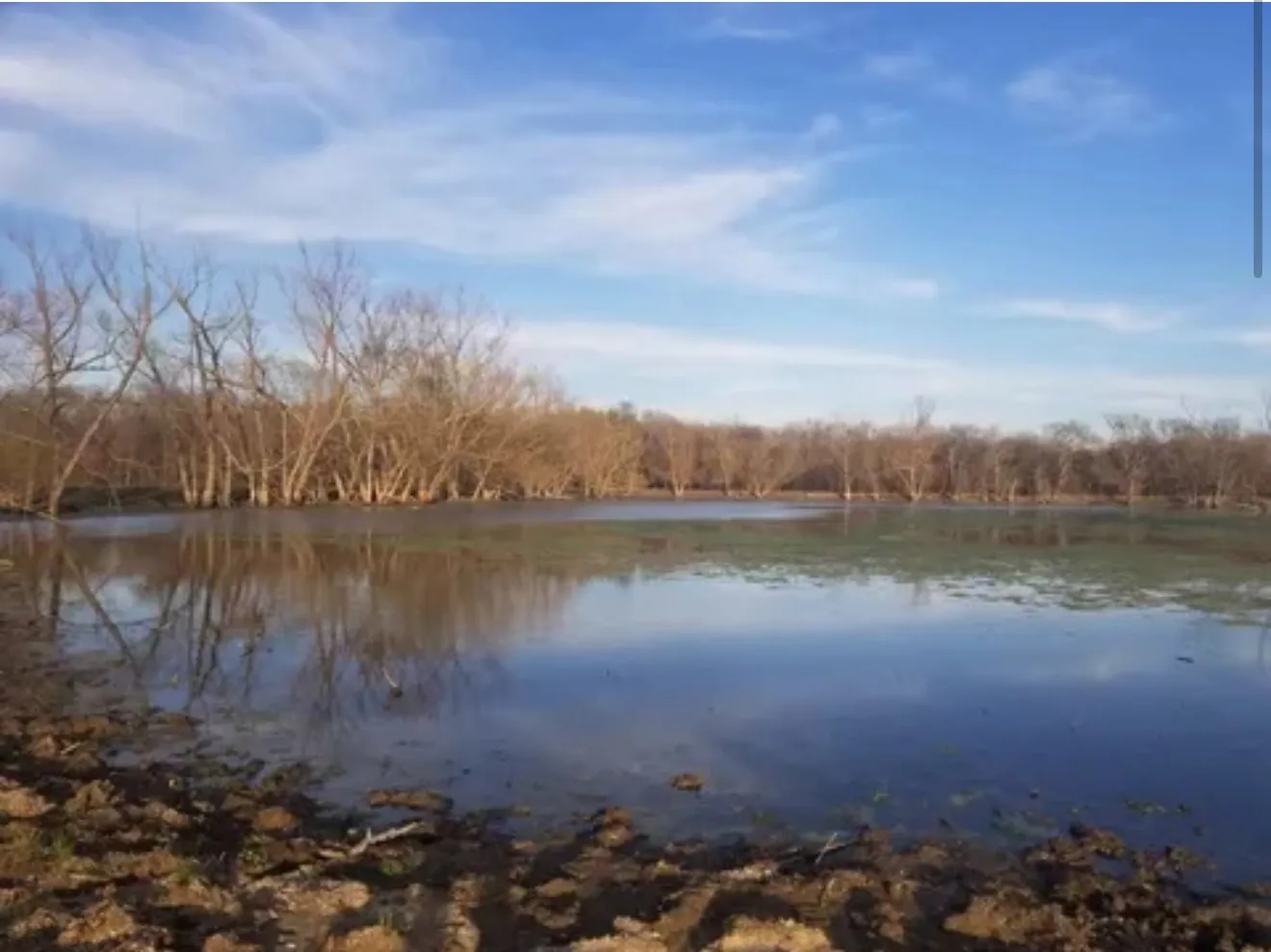 6 acre stocked pond surrounded by mature trees under a blue sky