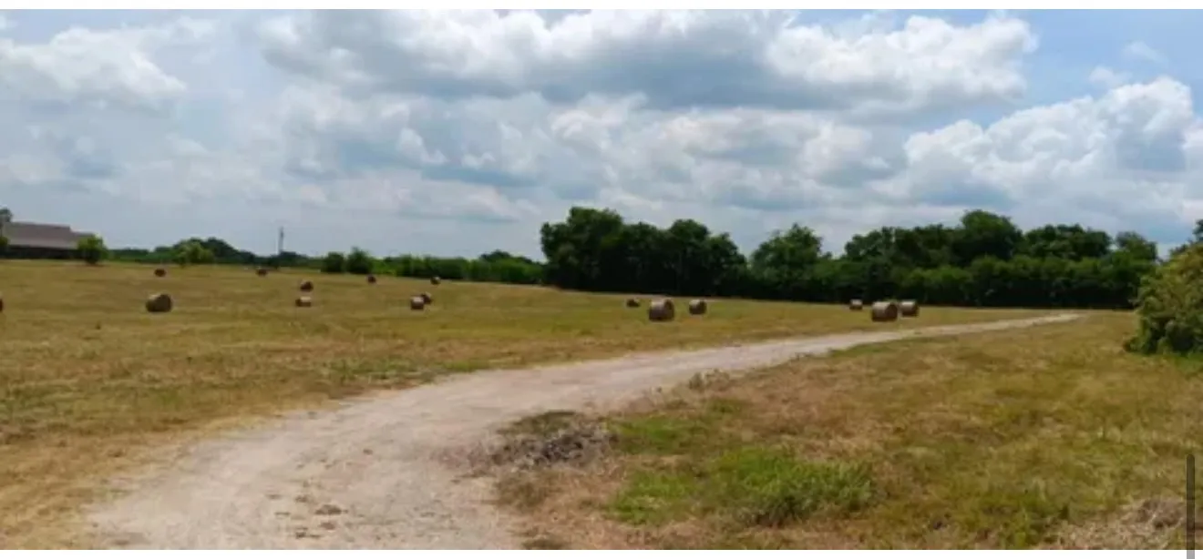 Expansive open field with a dirt path