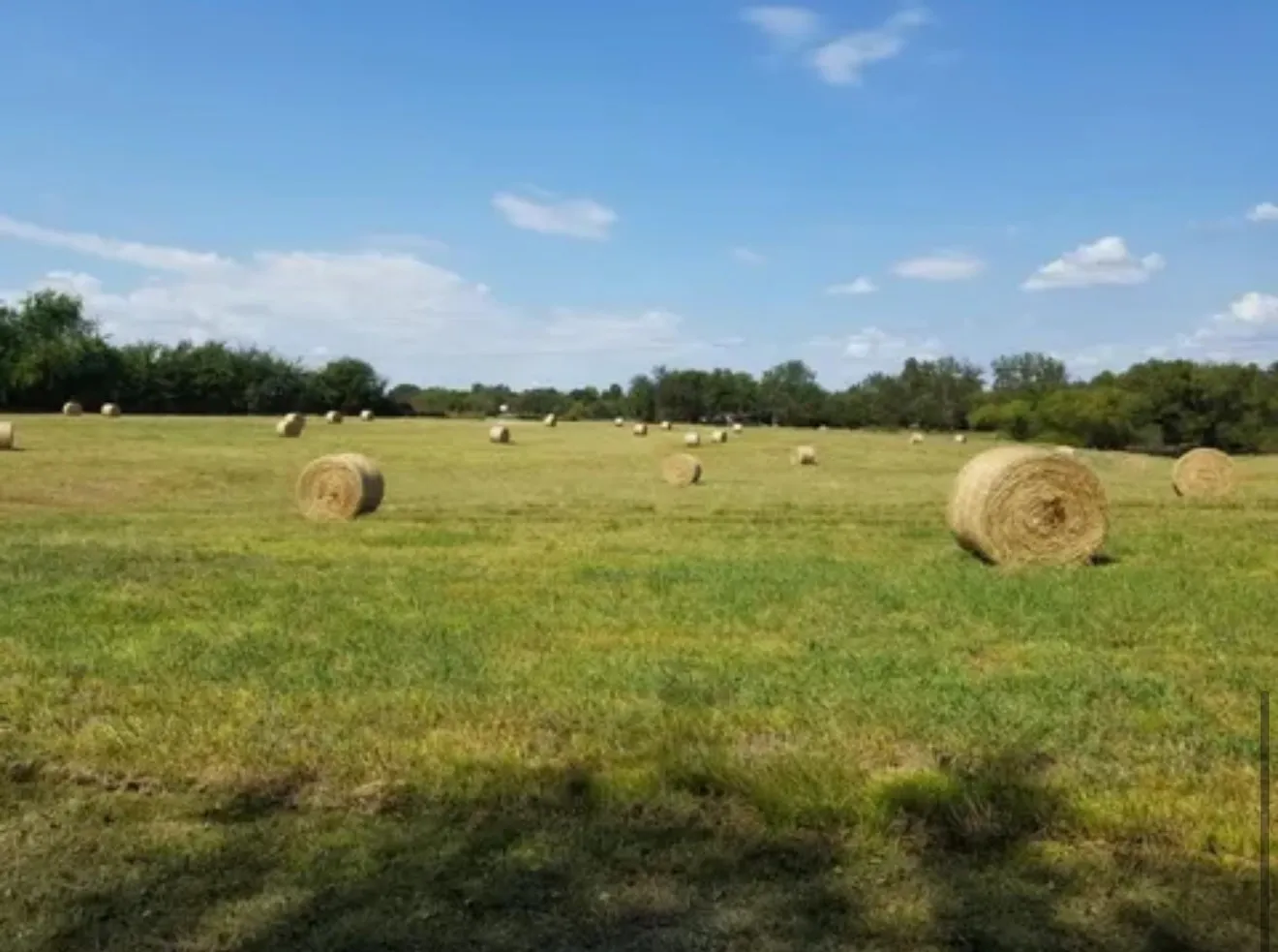 Farm For Sale in Hopkins County , 2882 Farm Road 3134, Cumby, Texas 75433, 3 Bedroom, 4 Bathroom, Garage spaces, 2,276 Sqft, built in 2004, mls#21374724, Real Estate Agent in Cumby, Homes For Sale in Hopkins county, Homes For Sale in Cumby, Realtor in Cumby Texas, Real Estate Brokerage Independent Realty Texas, Luminita Cordes Realtor