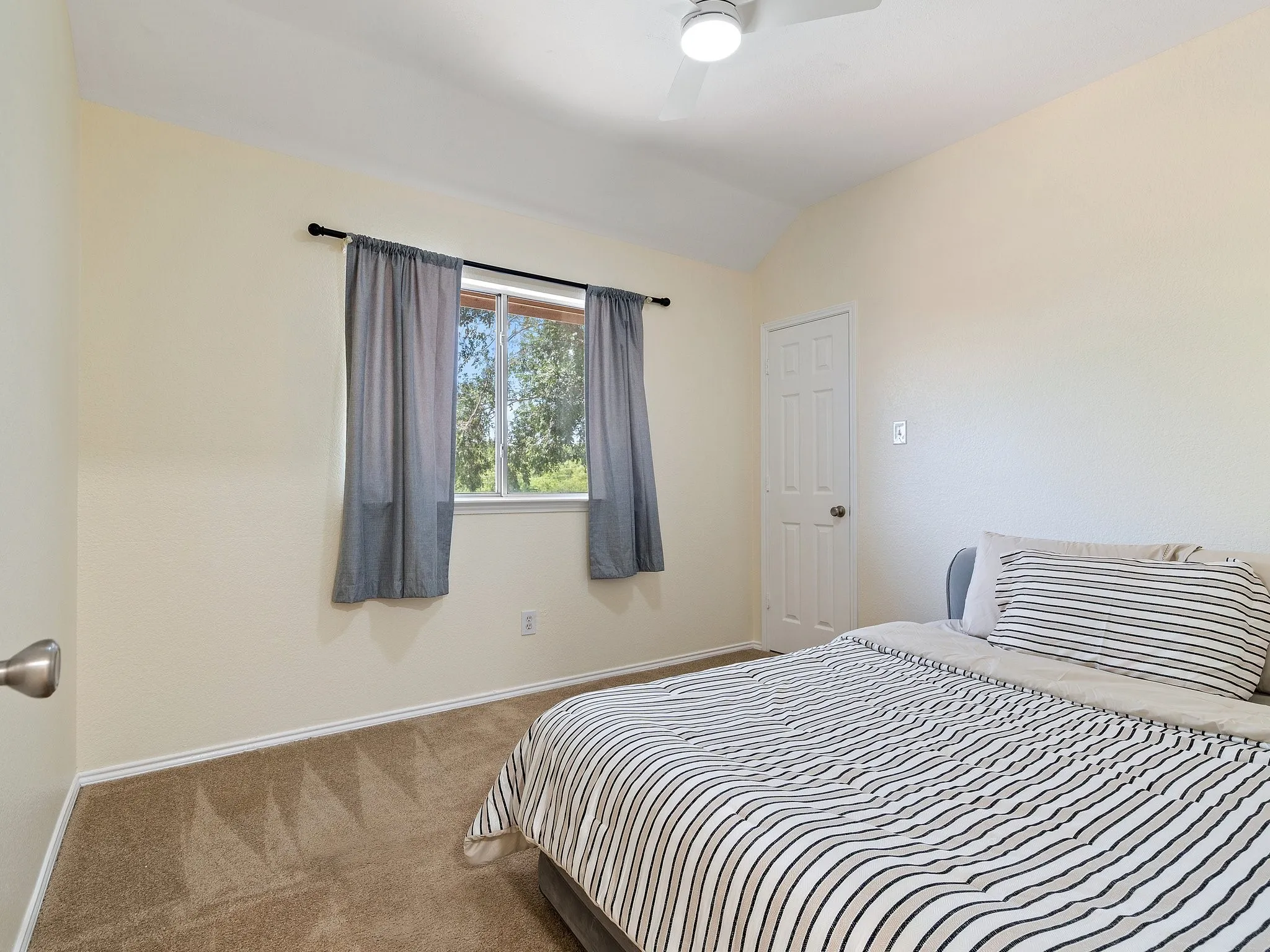 Carpeted room featuring a window with exterior tree views, a ceiling fan, and a paneled door