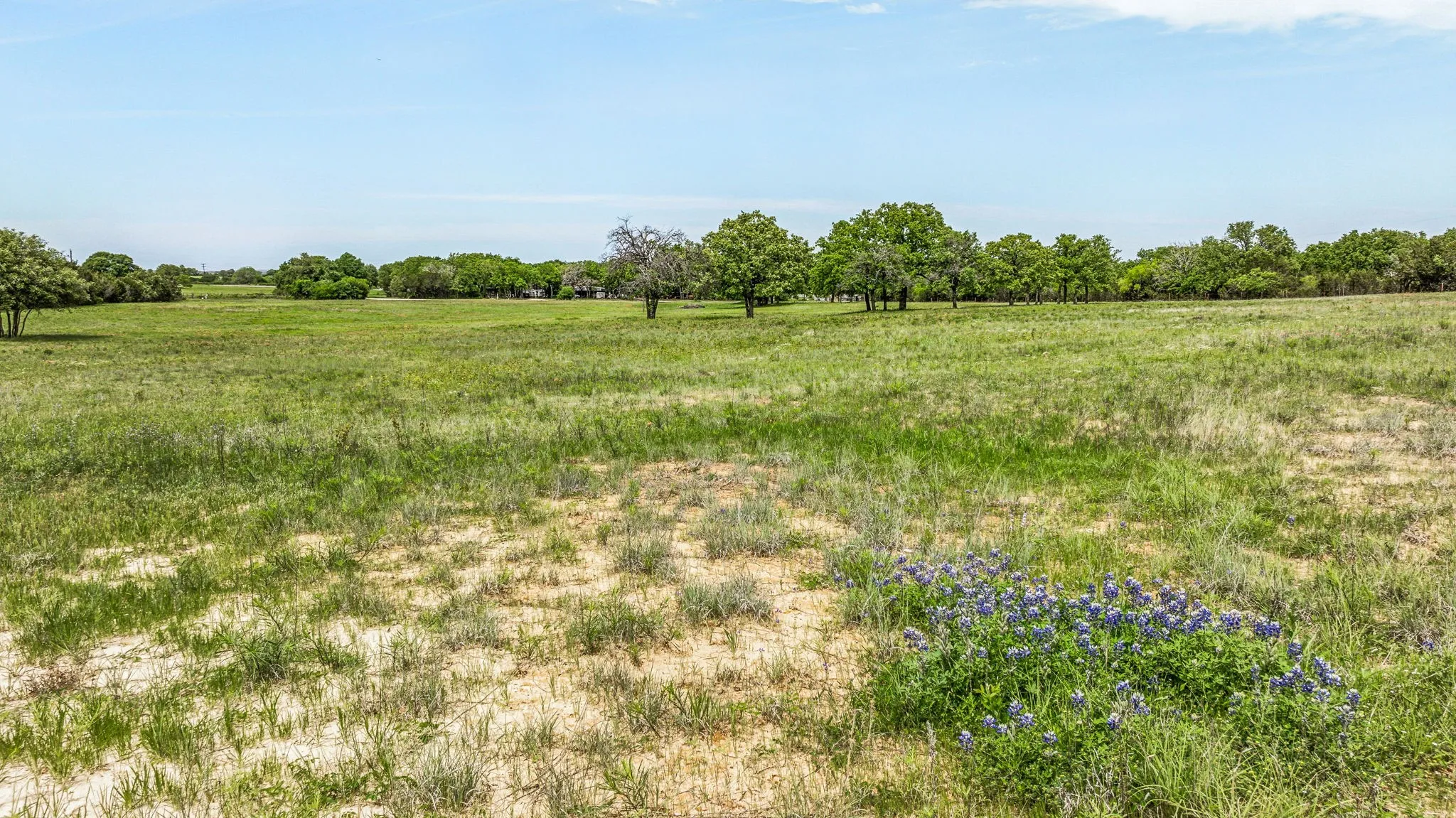 Unimproved Land For Sale in Somervell County , TBD County Road 2005, Glen Rose, Texas 76043, 0, 0, Garage spaces, 0 Sqft, built in 0, mls#21374837, Real Estate Agent in Glen Rose, Homes For Sale in Somervell county, Homes For Sale in Glen Rose, Realtor in Glen Rose Texas, Real Estate Brokerage Independent Realty Texas, Luminita Cordes Realtor