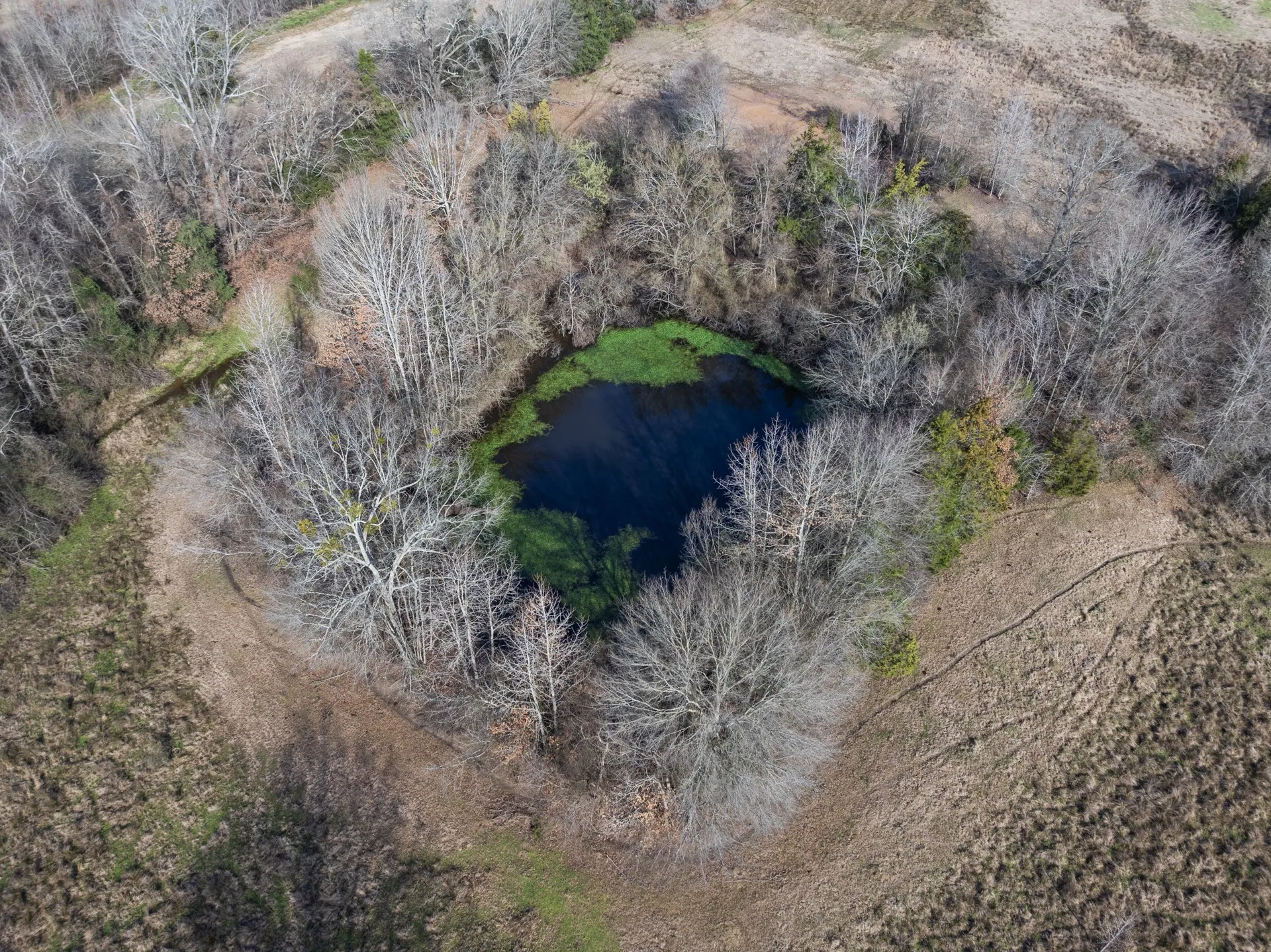 Farm For Sale in Morris County , 10 County Road 3357, Omaha, Texas 75571, 3 Bedroom, 2 Bathroom, Garage spaces, 1,400 Sqft, built in 1971, mls#21374908, Real Estate Agent in Omaha, Homes For Sale in Morris county, Homes For Sale in Omaha, Realtor in Omaha Texas, Real Estate Brokerage Independent Realty Texas, Luminita Cordes Realtor