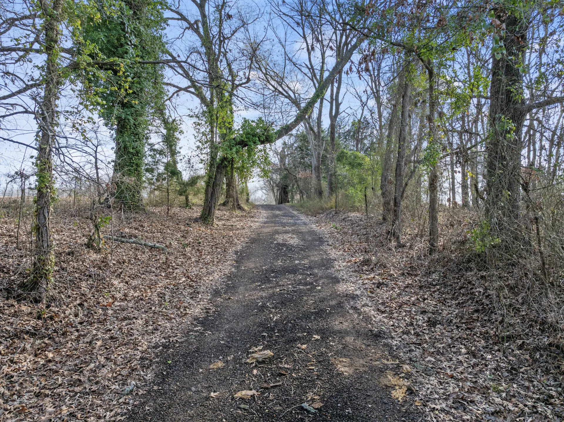 Farm For Sale in Morris County , 10 County Road 3357, Omaha, Texas 75571, 3 Bedroom, 2 Bathroom, Garage spaces, 1,400 Sqft, built in 1971, mls#21374908, Real Estate Agent in Omaha, Homes For Sale in Morris county, Homes For Sale in Omaha, Realtor in Omaha Texas, Real Estate Brokerage Independent Realty Texas, Luminita Cordes Realtor