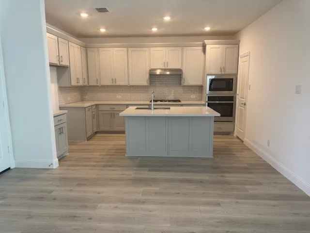 Contemporary kitchen with light-toned cabinetry, a central island with an undermount sink, stainless steel appliances, and wood-finish flooring