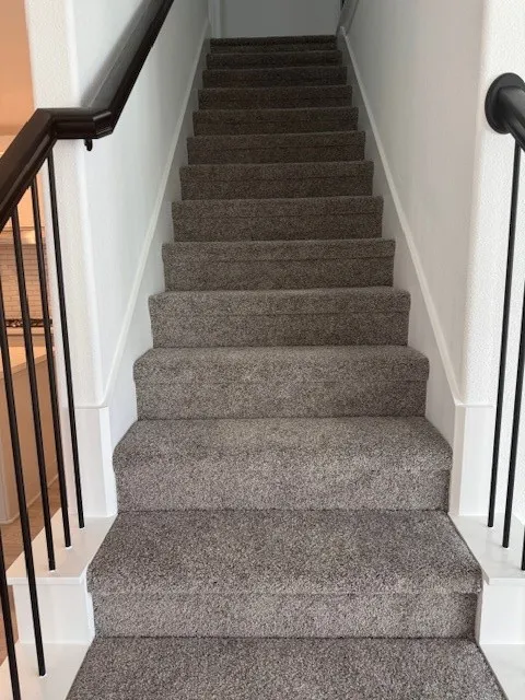 Staircase featuring dark gray carpet, white risers, and black metal balusters with a dark wood-finish handrail