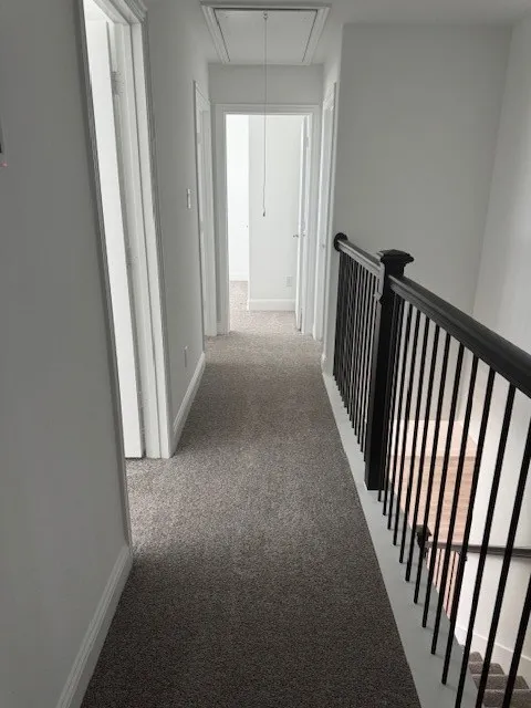 Carpeted hallway featuring a black metal railing and white trim