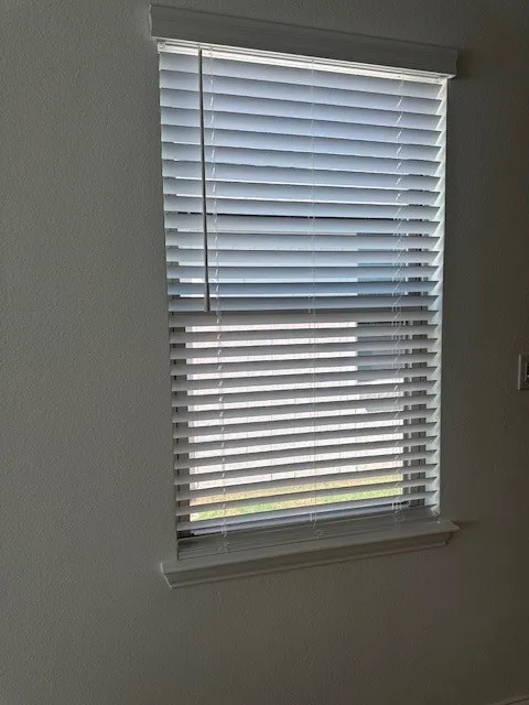Window with horizontal blinds and white trim