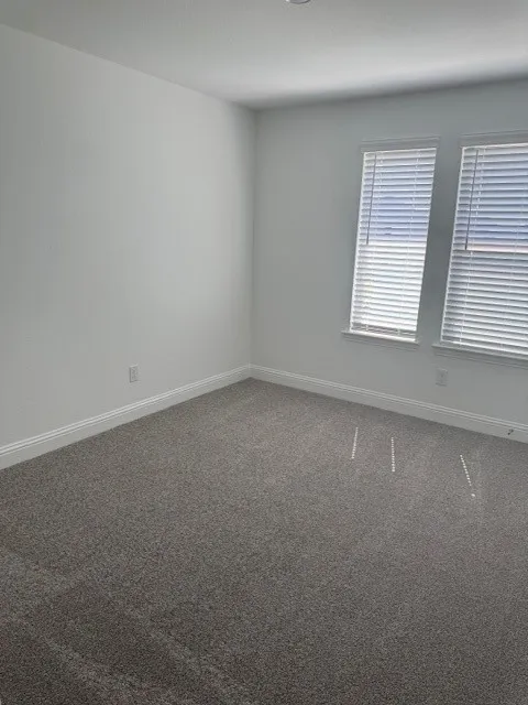 Neutral wall paint, two windows with blinds, and plush carpeting