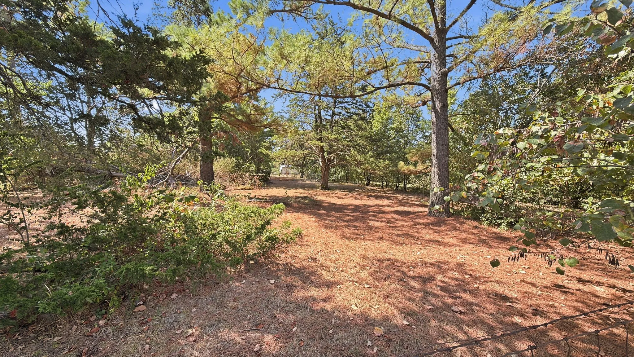 Single Family Residence For Sale in Grayson County , 1027 Highway 377 N, Whitesboro, Texas 76273, 3 Bedroom, 2 Bathroom, Garage spaces, 1,860 Sqft, built in 1965, mls#21374435, Real Estate Agent in Whitesboro, Homes For Sale in Grayson county, Homes For Sale in Whitesboro, Realtor in Whitesboro Texas, Real Estate Brokerage Independent Realty Texas, Luminita Cordes Realtor