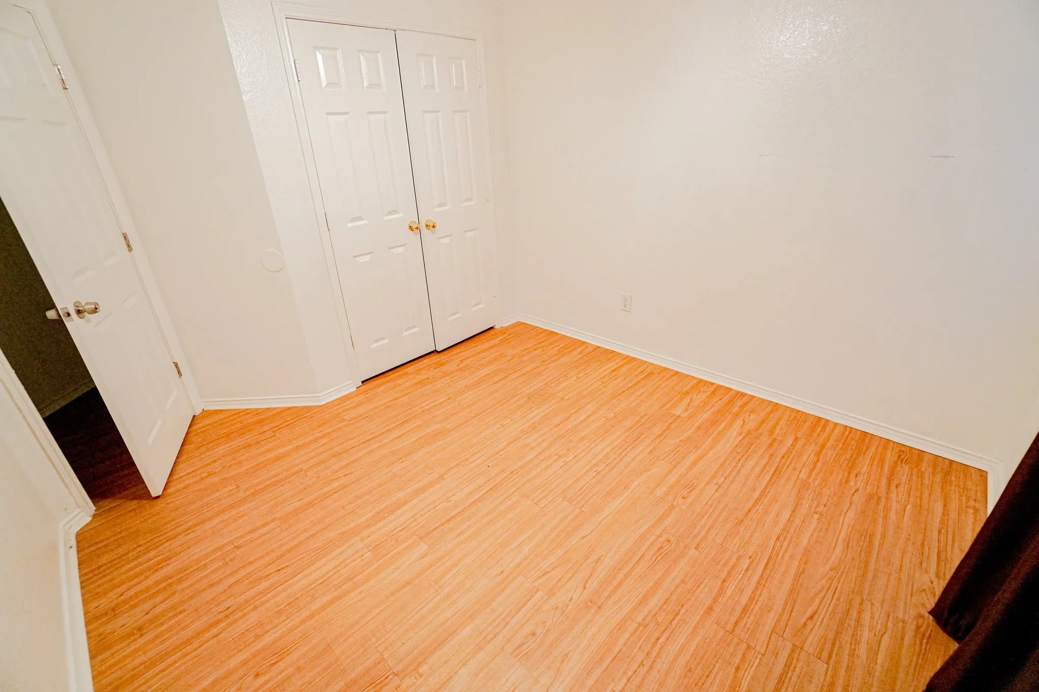 Woodlike-finish flooring with white baseboards, white walls, and white paneled doors