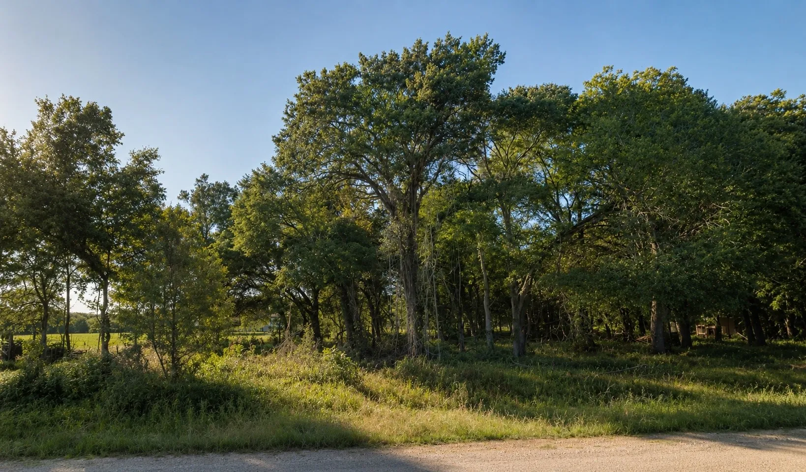 Retail For Sale in Henderson County , 11950 Trinity Hills Road, Kemp, Texas 75143, 0, 0, Garage spaces, 0 Sqft, built in 0, mls#21369352, Real Estate Agent in Kemp, Homes For Sale in Henderson county, Homes For Sale in Kemp, Realtor in Kemp Texas, Real Estate Brokerage Independent Realty Texas, Luminita Cordes Realtor