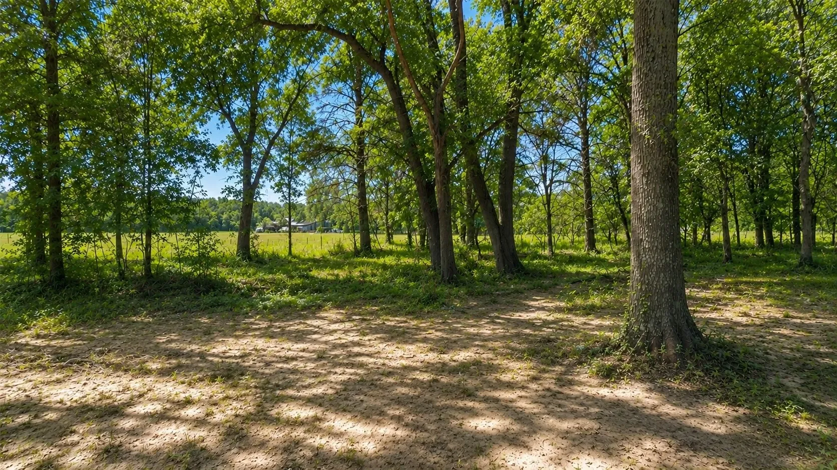 creek runs through the acreage