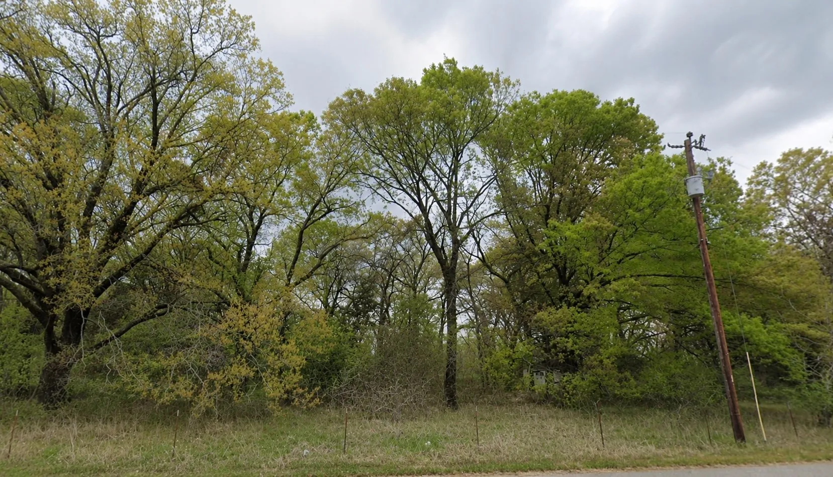 Trinity Hills Rd view