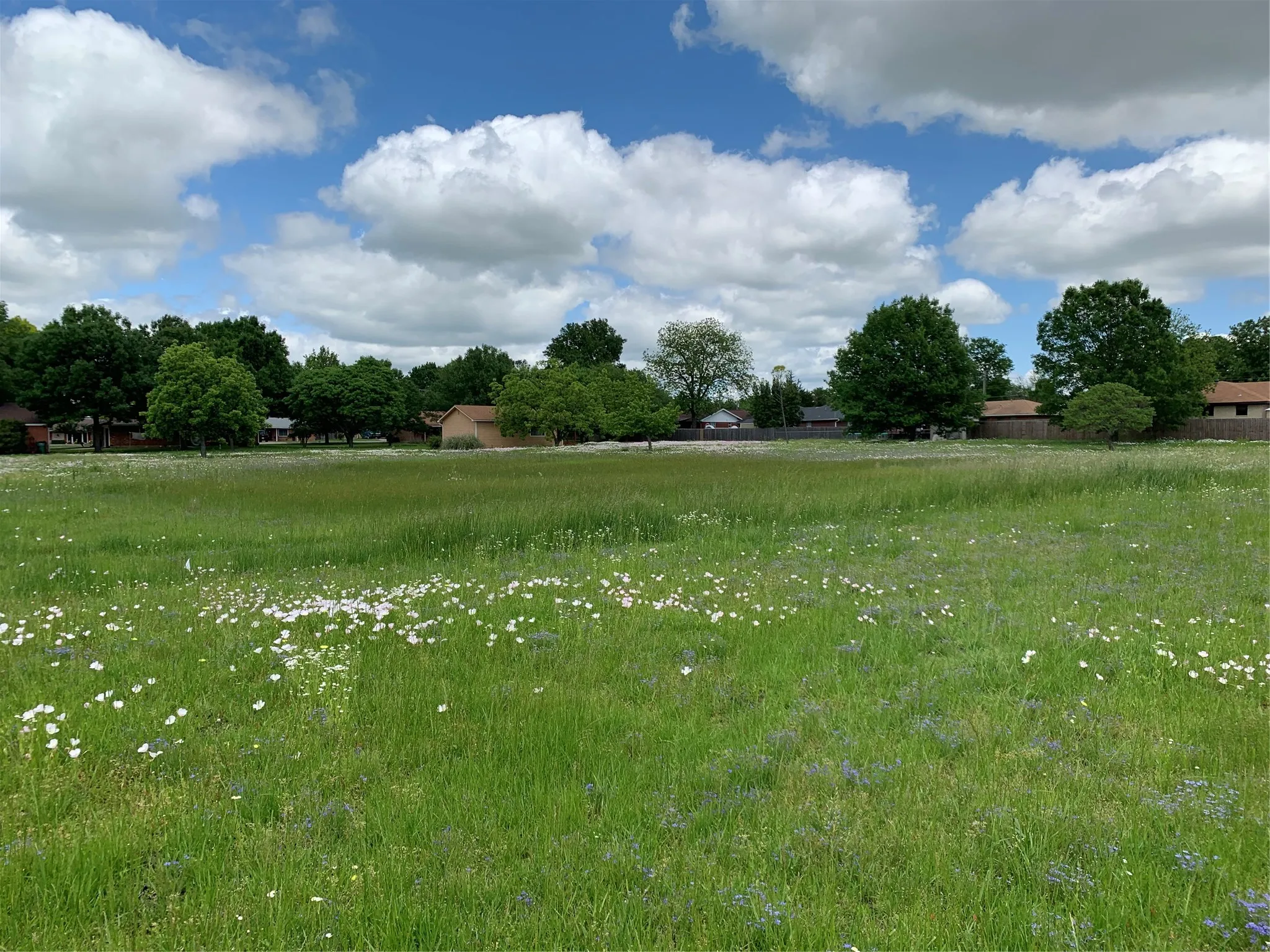 Single Family Residence For Rent in Grayson County , 306 Pecan Street, Howe, Texas 75459, 2 Bedroom, 2 Bathroom, 4 Garage spaces, 1,525 Sqft, built in 1976, mls#21374974, Real Estate Agent in Howe, Homes For Rent in Grayson county, Homes For Rent in Howe, Realtor in Howe Texas, Real Estate Brokerage Independent Realty Texas, Luminita Cordes Realtor