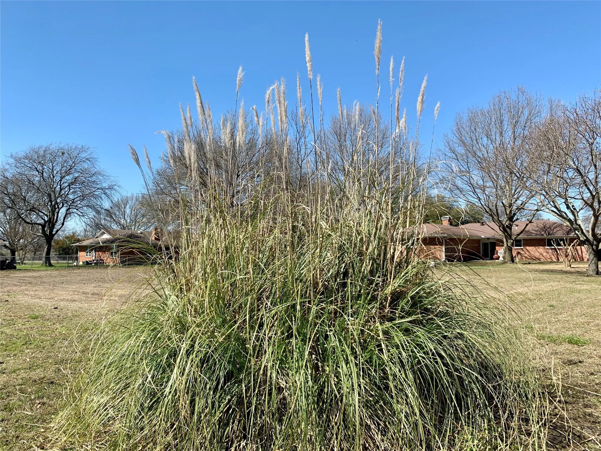 Single Family Residence For Rent in Grayson County , 306 Pecan Street, Howe, Texas 75459, 2 Bedroom, 2 Bathroom, 4 Garage spaces, 1,525 Sqft, built in 1976, mls#21374974, Real Estate Agent in Howe, Homes For Rent in Grayson county, Homes For Rent in Howe, Realtor in Howe Texas, Real Estate Brokerage Independent Realty Texas, Luminita Cordes Realtor