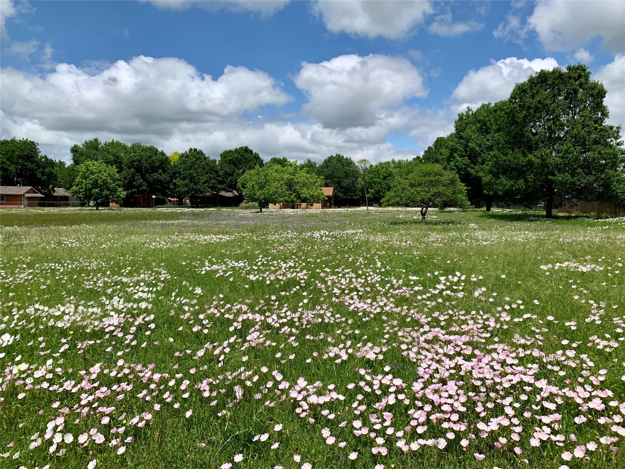 Single Family Residence For Rent in Grayson County , 306 Pecan Street, Howe, Texas 75459, 2 Bedroom, 2 Bathroom, 4 Garage spaces, 1,525 Sqft, built in 1976, mls#21374974, Real Estate Agent in Howe, Homes For Rent in Grayson county, Homes For Rent in Howe, Realtor in Howe Texas, Real Estate Brokerage Independent Realty Texas, Luminita Cordes Realtor