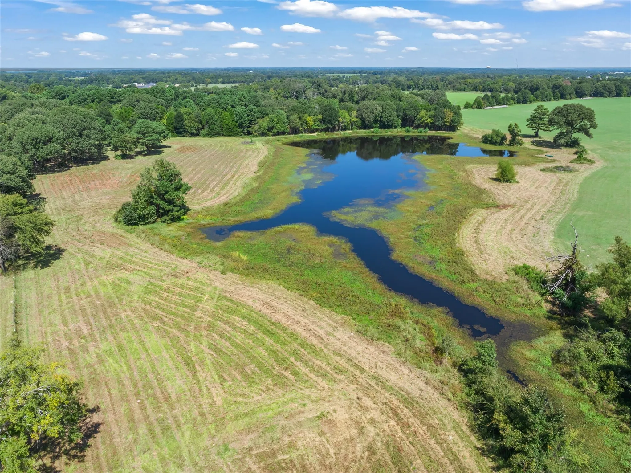 Single Family Residence For Sale in Van Zandt County , 893 Vz County Road 4203, Canton, Texas 75103, 3 Bedroom, 2 Bathroom, 2 Garage spaces, 2,545 Sqft, built in 1979, mls#21375027, Real Estate Agent in Canton, Homes For Sale in Van Zandt county, Homes For Sale in Canton, Realtor in Canton Texas, Real Estate Brokerage Independent Realty Texas, Luminita Cordes Realtor