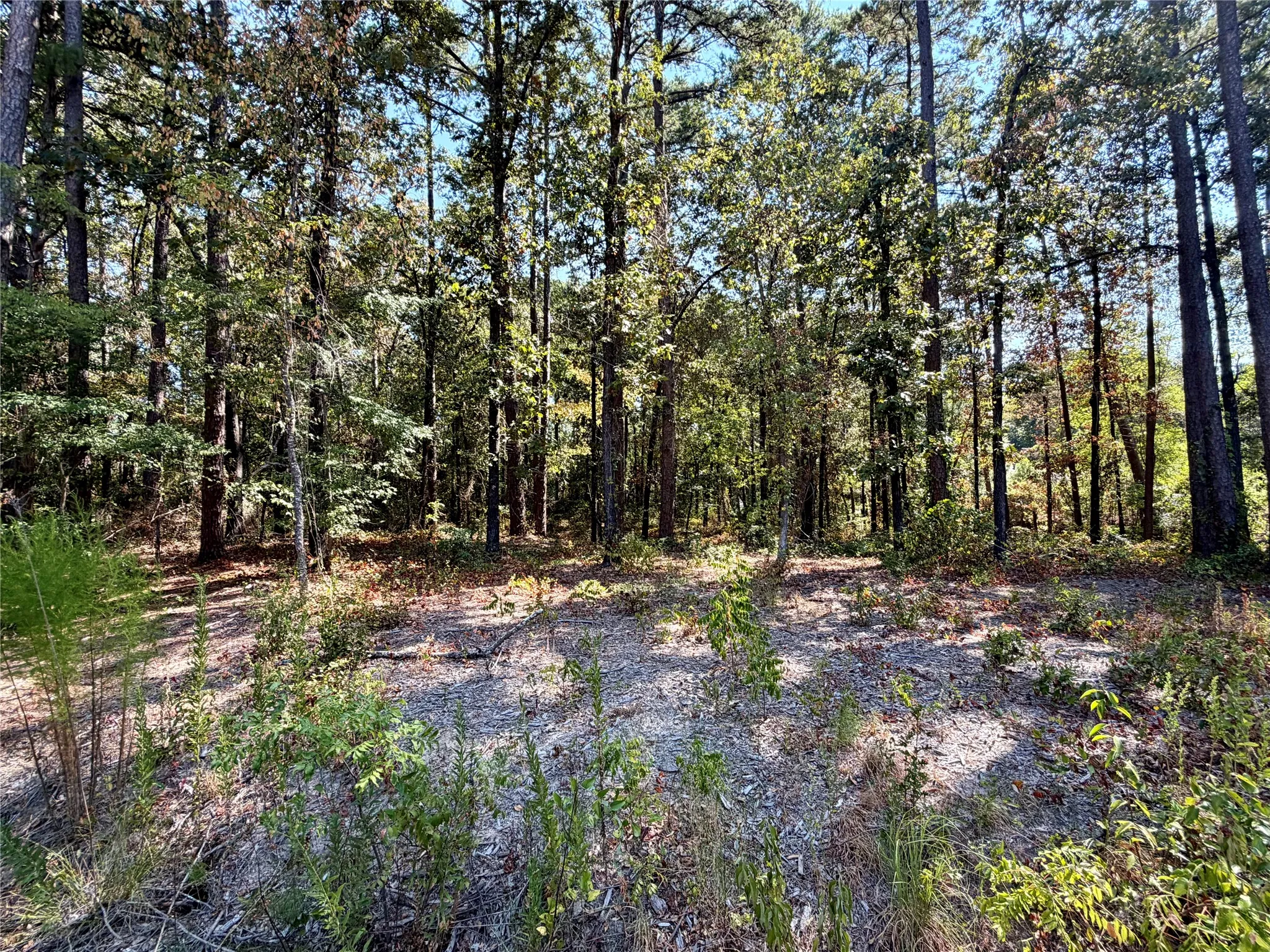 Unimproved Land For Sale in Smith County , 18084 Deer Trail, Flint, Texas 75762, 0, 0, Garage spaces, 0 Sqft, built in 0, mls#21374661, Real Estate Agent in Flint, Homes For Sale in Smith county, Homes For Sale in Flint, Realtor in Flint Texas, Real Estate Brokerage Independent Realty Texas, Luminita Cordes Realtor