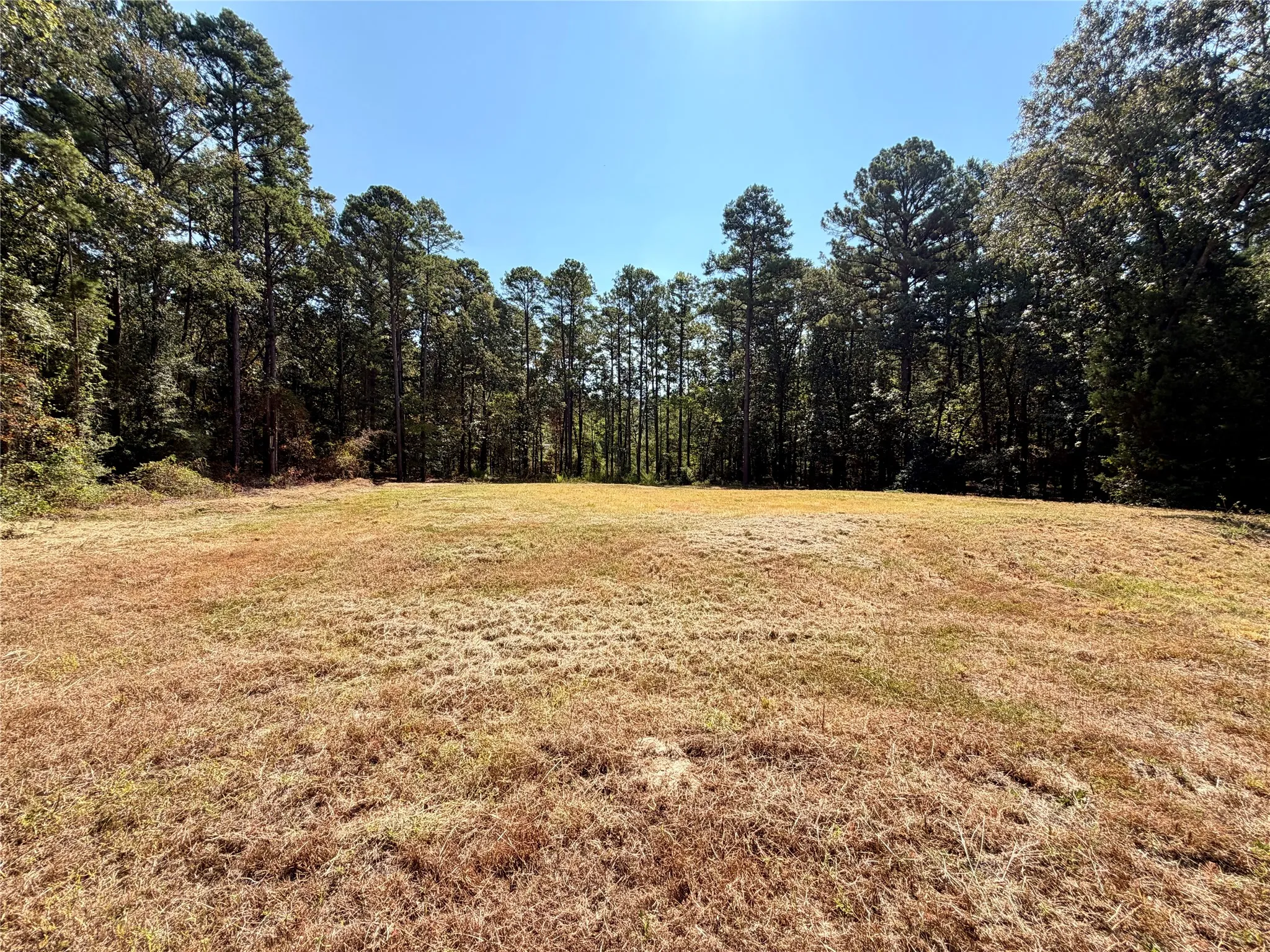 Unimproved Land For Sale in Smith County , 18084 Deer Trail, Flint, Texas 75762, 0, 0, Garage spaces, 0 Sqft, built in 0, mls#21374661, Real Estate Agent in Flint, Homes For Sale in Smith county, Homes For Sale in Flint, Realtor in Flint Texas, Real Estate Brokerage Independent Realty Texas, Luminita Cordes Realtor