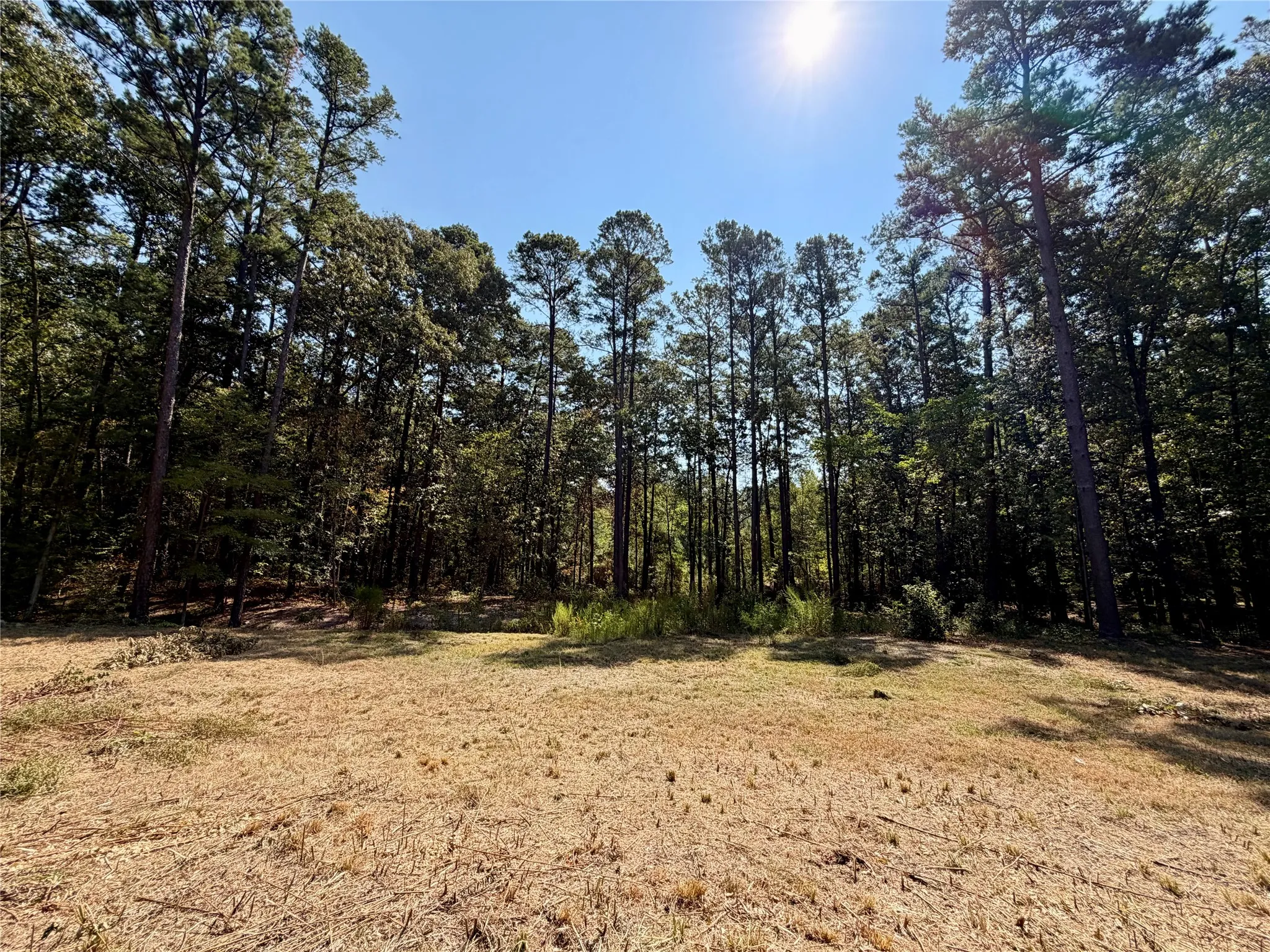 Unimproved Land For Sale in Smith County , 18084 Deer Trail, Flint, Texas 75762, 0, 0, Garage spaces, 0 Sqft, built in 0, mls#21374661, Real Estate Agent in Flint, Homes For Sale in Smith county, Homes For Sale in Flint, Realtor in Flint Texas, Real Estate Brokerage Independent Realty Texas, Luminita Cordes Realtor