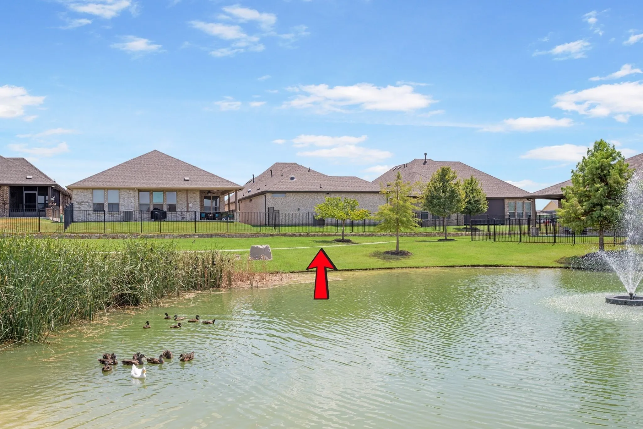 House in relationship to pond