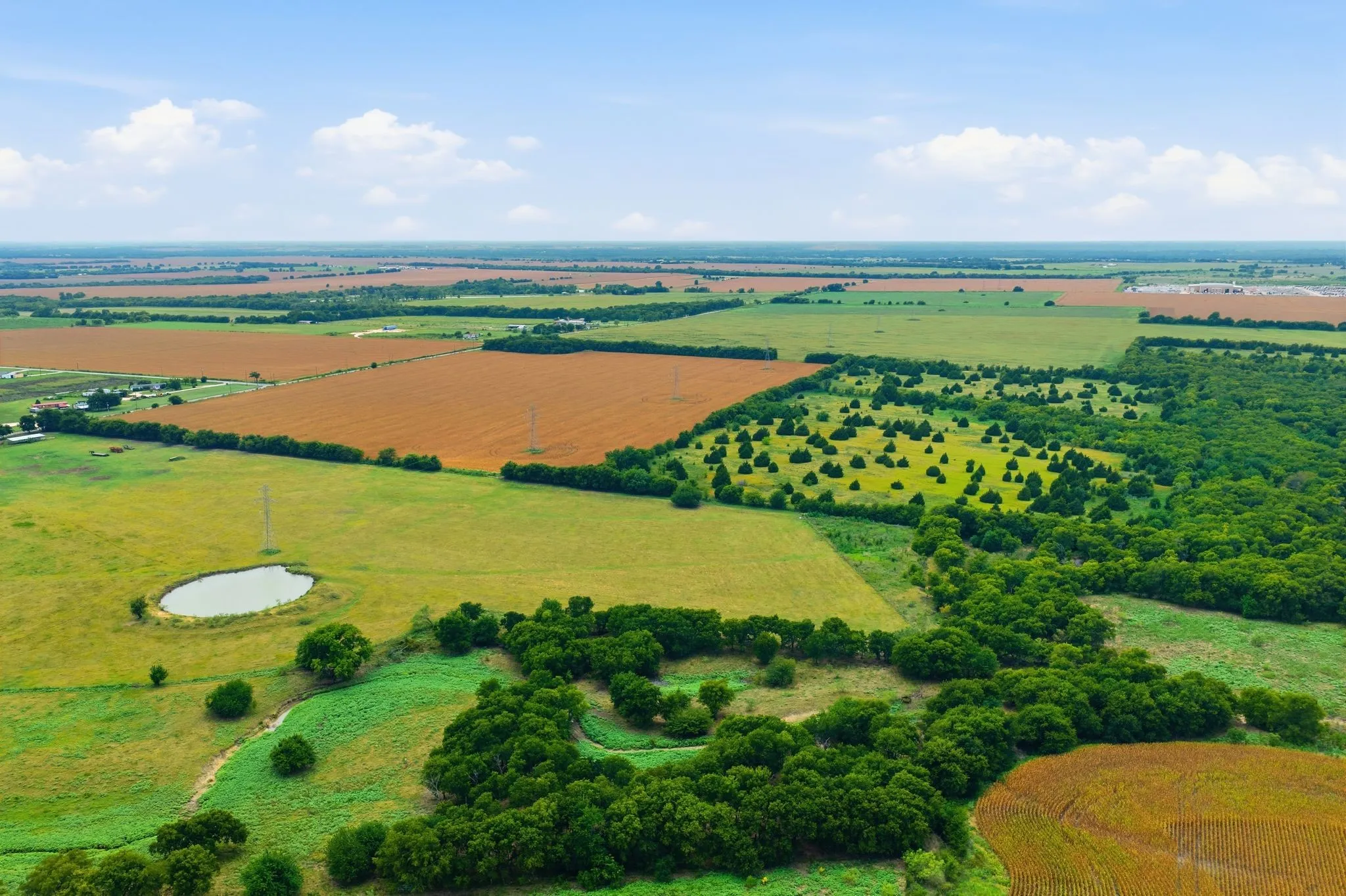 Unimproved Land For Sale in Johnson County , 10935 County Road 109, Alvarado, Texas 76009, 0, 0, Garage spaces, 0 Sqft, built in 0, mls#21374814, Real Estate Agent in Alvarado, Homes For Sale in Johnson county, Homes For Sale in Alvarado, Realtor in Alvarado Texas, Real Estate Brokerage Independent Realty Texas, Luminita Cordes Realtor