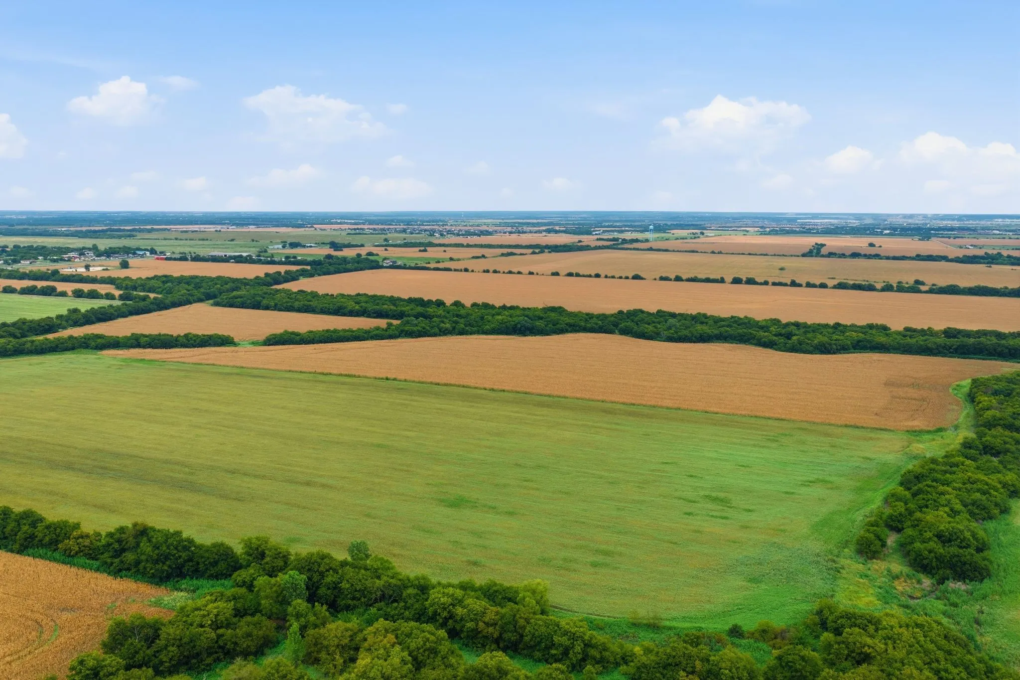 Unimproved Land For Sale in Johnson County , 10935 County Road 109, Alvarado, Texas 76009, 0, 0, Garage spaces, 0 Sqft, built in 0, mls#21374814, Real Estate Agent in Alvarado, Homes For Sale in Johnson county, Homes For Sale in Alvarado, Realtor in Alvarado Texas, Real Estate Brokerage Independent Realty Texas, Luminita Cordes Realtor