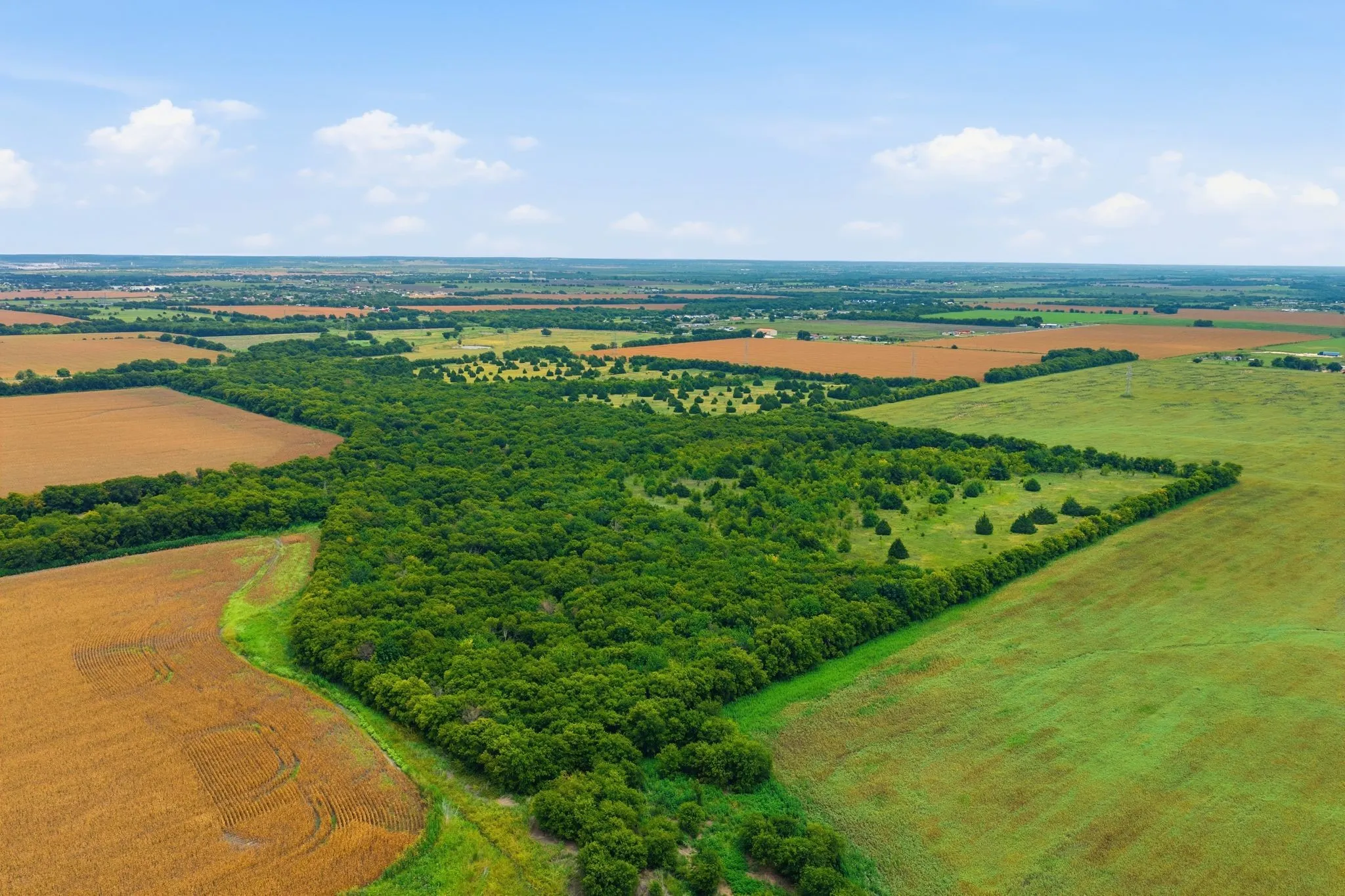 Unimproved Land For Sale in Johnson County , 10935 County Road 109, Alvarado, Texas 76009, 0, 0, Garage spaces, 0 Sqft, built in 0, mls#21374814, Real Estate Agent in Alvarado, Homes For Sale in Johnson county, Homes For Sale in Alvarado, Realtor in Alvarado Texas, Real Estate Brokerage Independent Realty Texas, Luminita Cordes Realtor