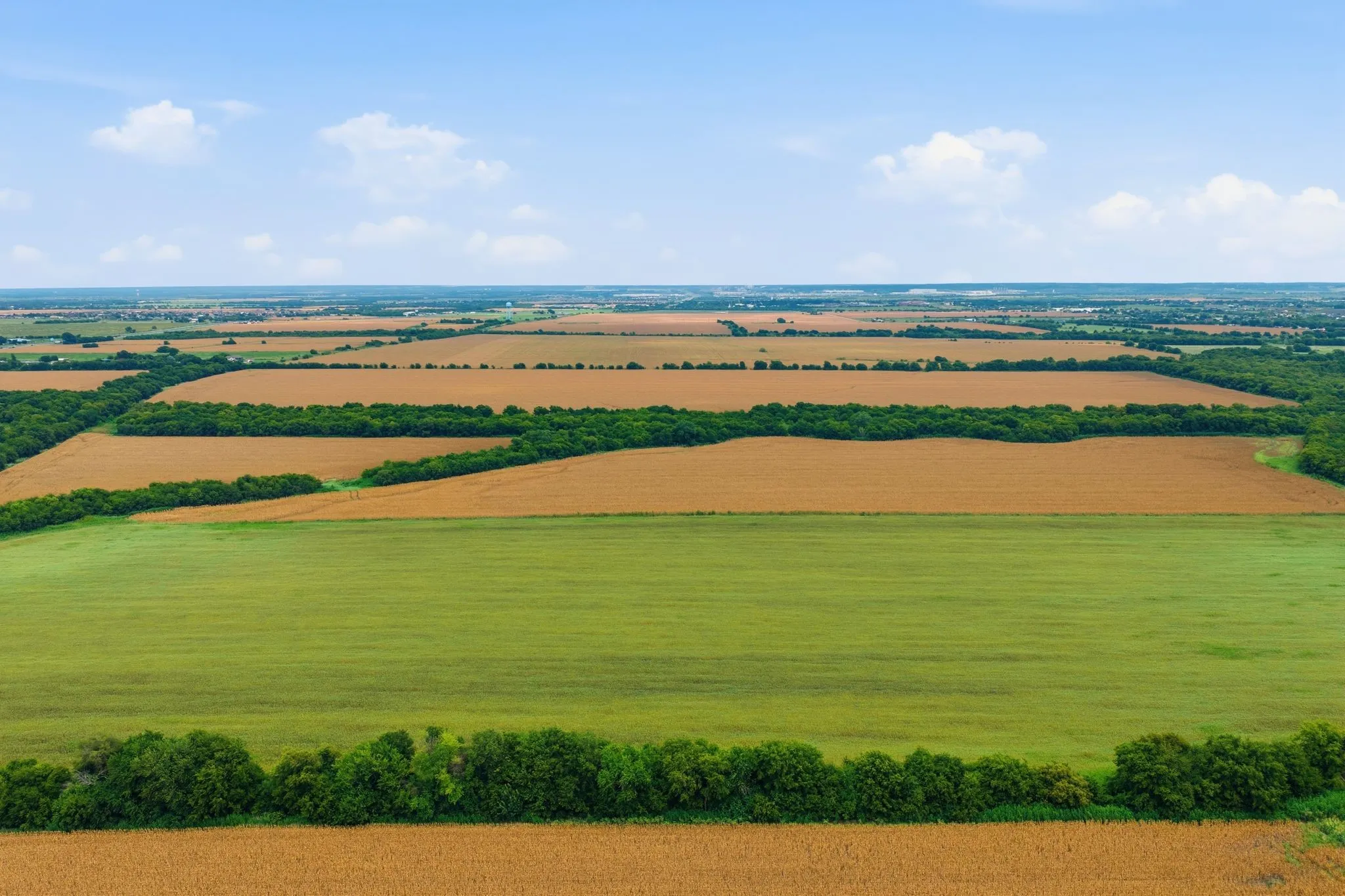Unimproved Land For Sale in Johnson County , 10935 County Road 109, Alvarado, Texas 76009, 0, 0, Garage spaces, 0 Sqft, built in 0, mls#21374814, Real Estate Agent in Alvarado, Homes For Sale in Johnson county, Homes For Sale in Alvarado, Realtor in Alvarado Texas, Real Estate Brokerage Independent Realty Texas, Luminita Cordes Realtor